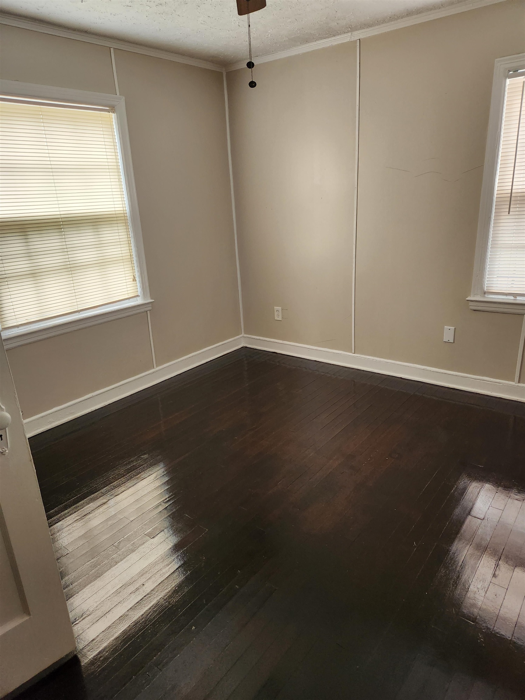 1817 Wellington Ave Property Photo 4