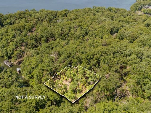 0 HOLLOW TREE RD Property Photo 1
