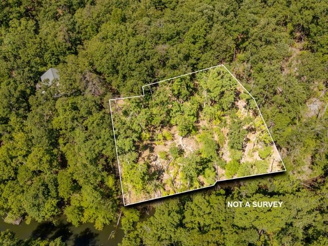 0 Hollow Tree Rd Property Photo 2