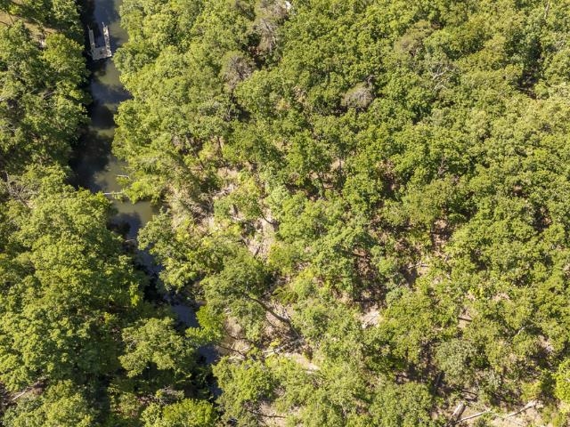 0 Hollow Tree Rd Property Photo 4
