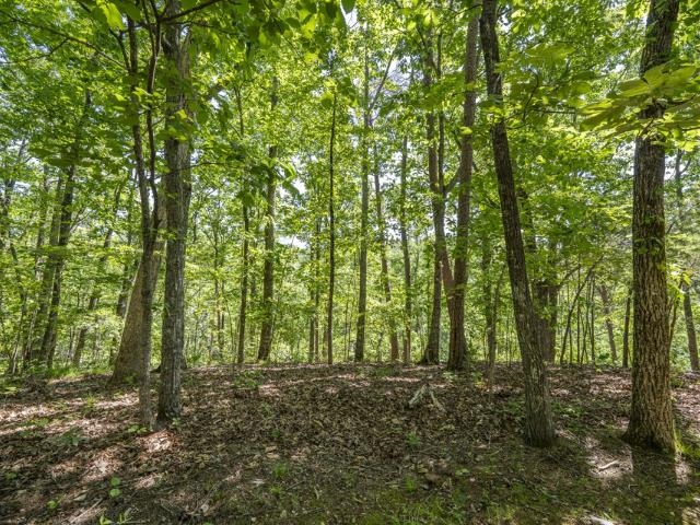 0 Hollow Tree Rd Property Photo 9