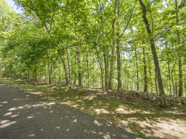 0 Hollow Tree Rd Property Photo 10
