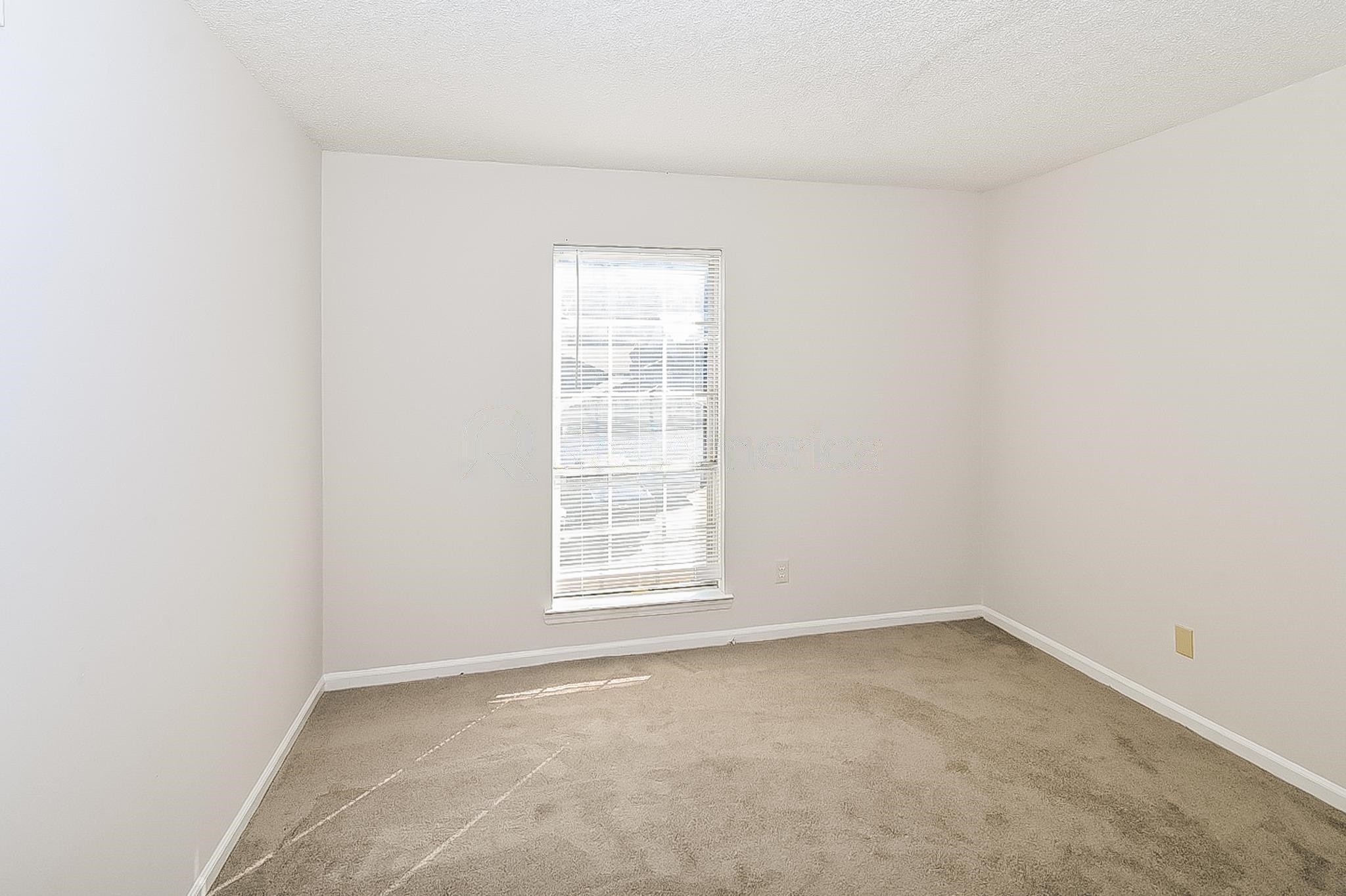 4215 Del Norte St Property Photo 14