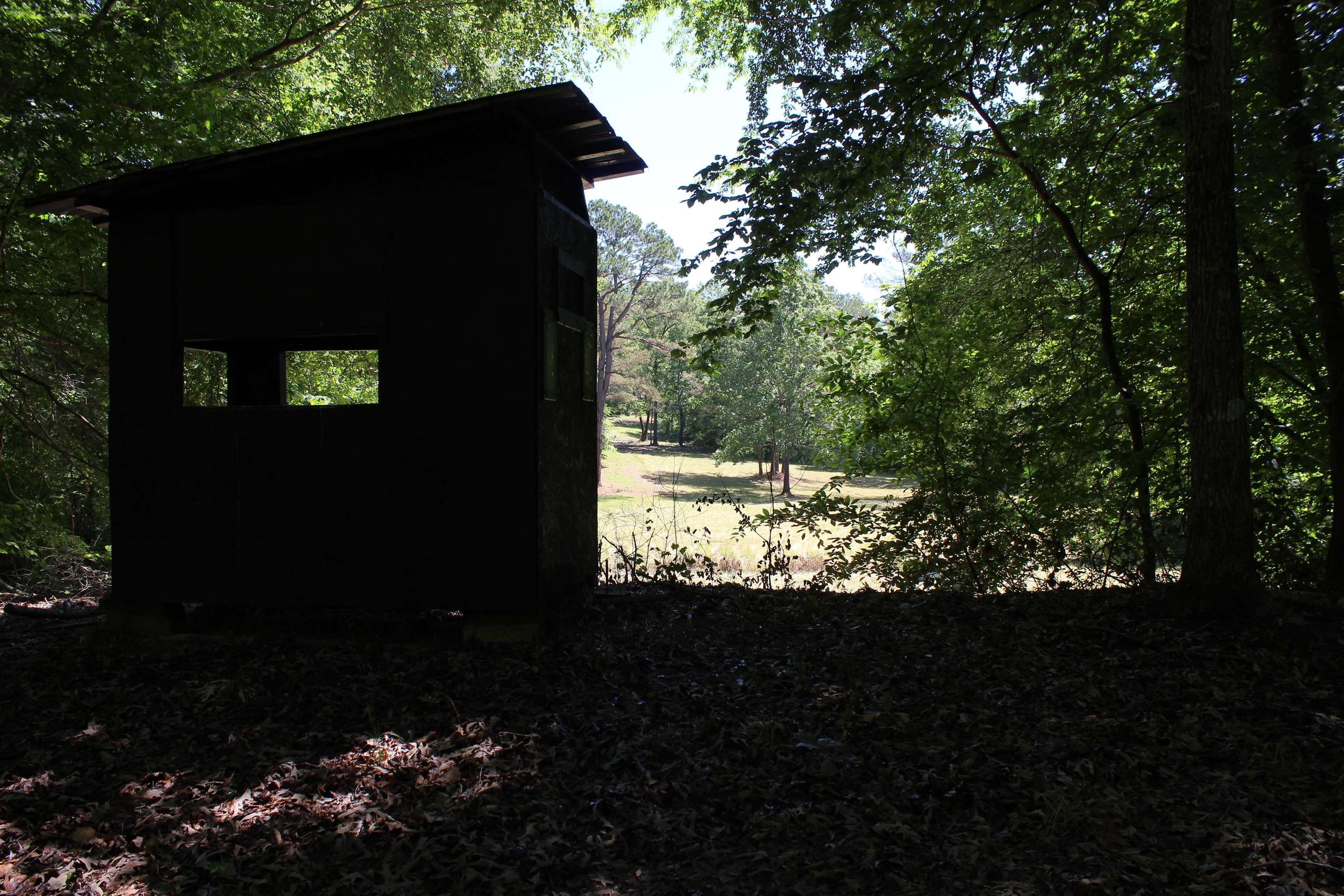 3360 Ebenezer Rd Property Photo 12