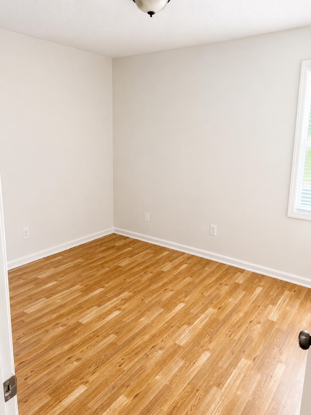 3240 Mario St Property Photo 6