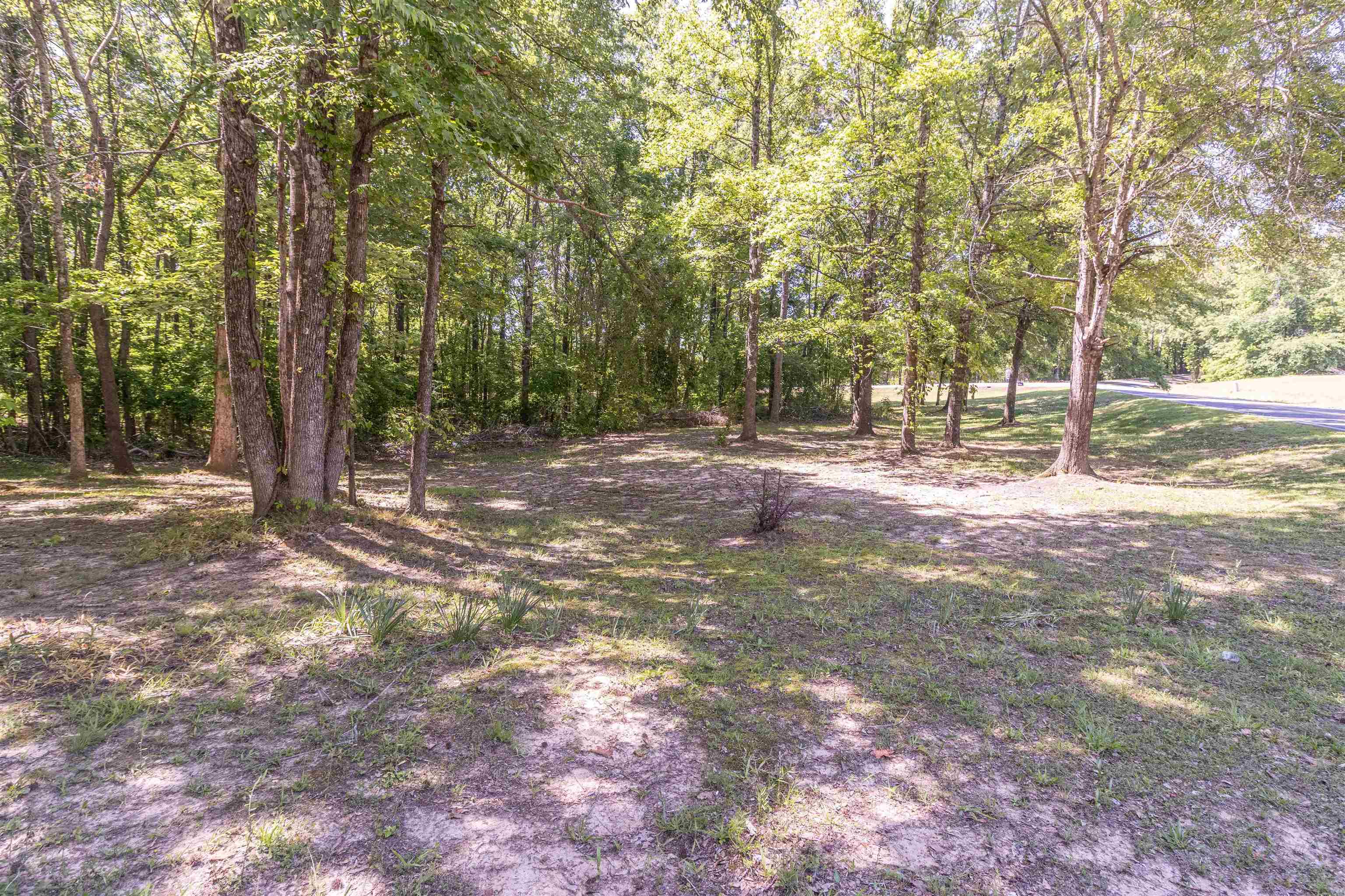 1540 B Chewalla Rd Property Photo 7