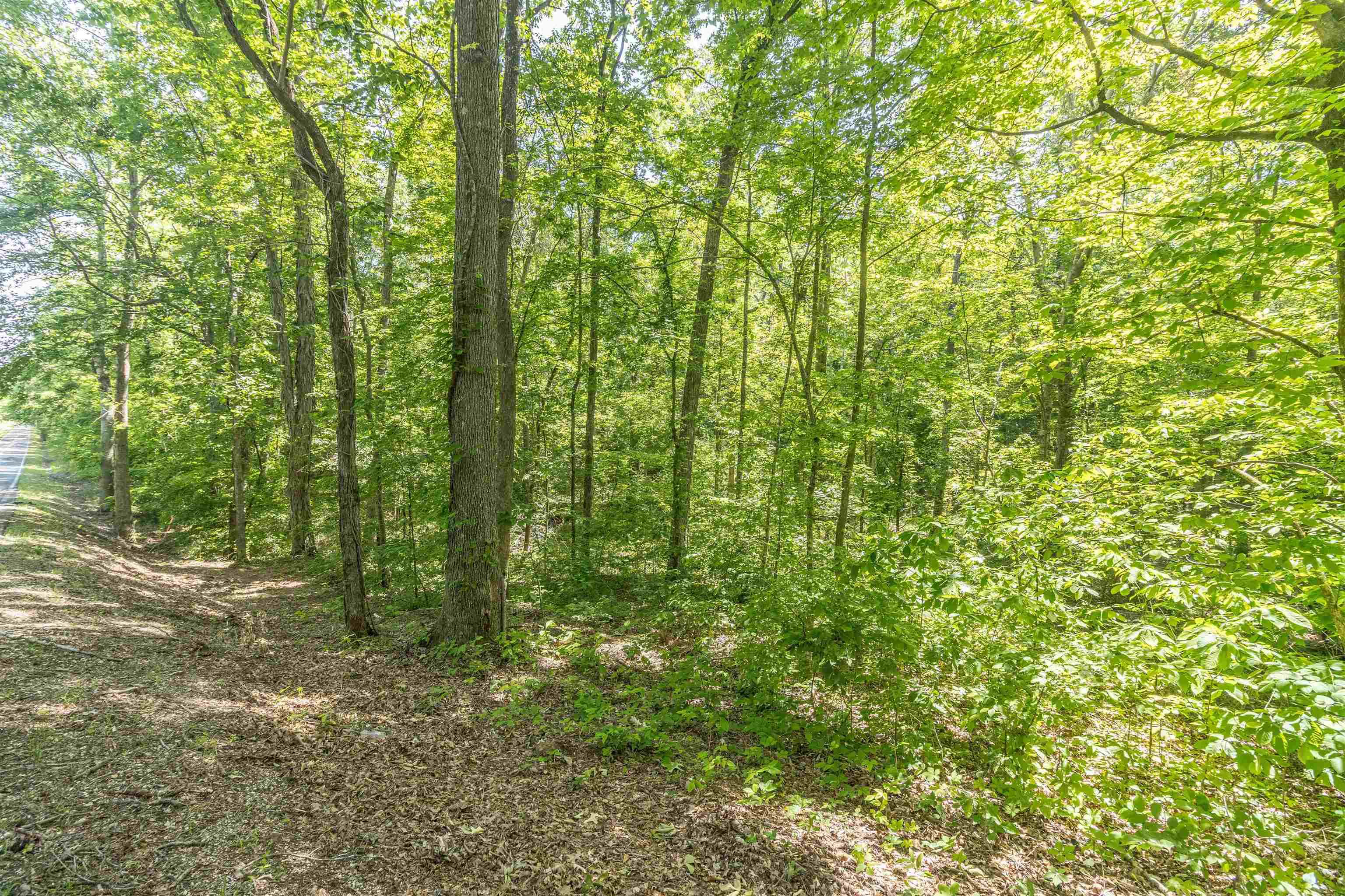 1540 A Chewalla Rd Property Photo 3