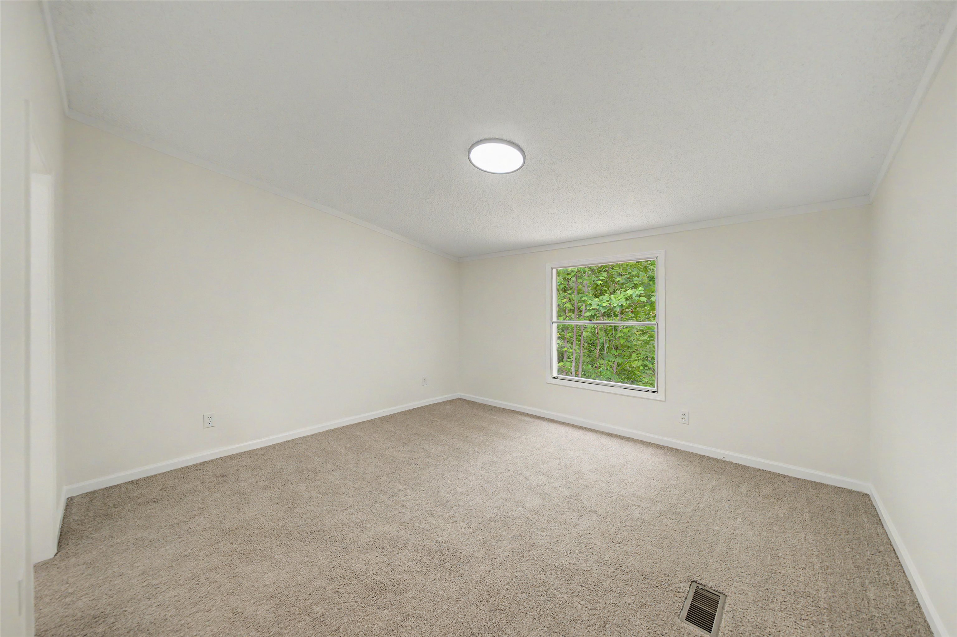 890 Burks Rd Property Photo 13