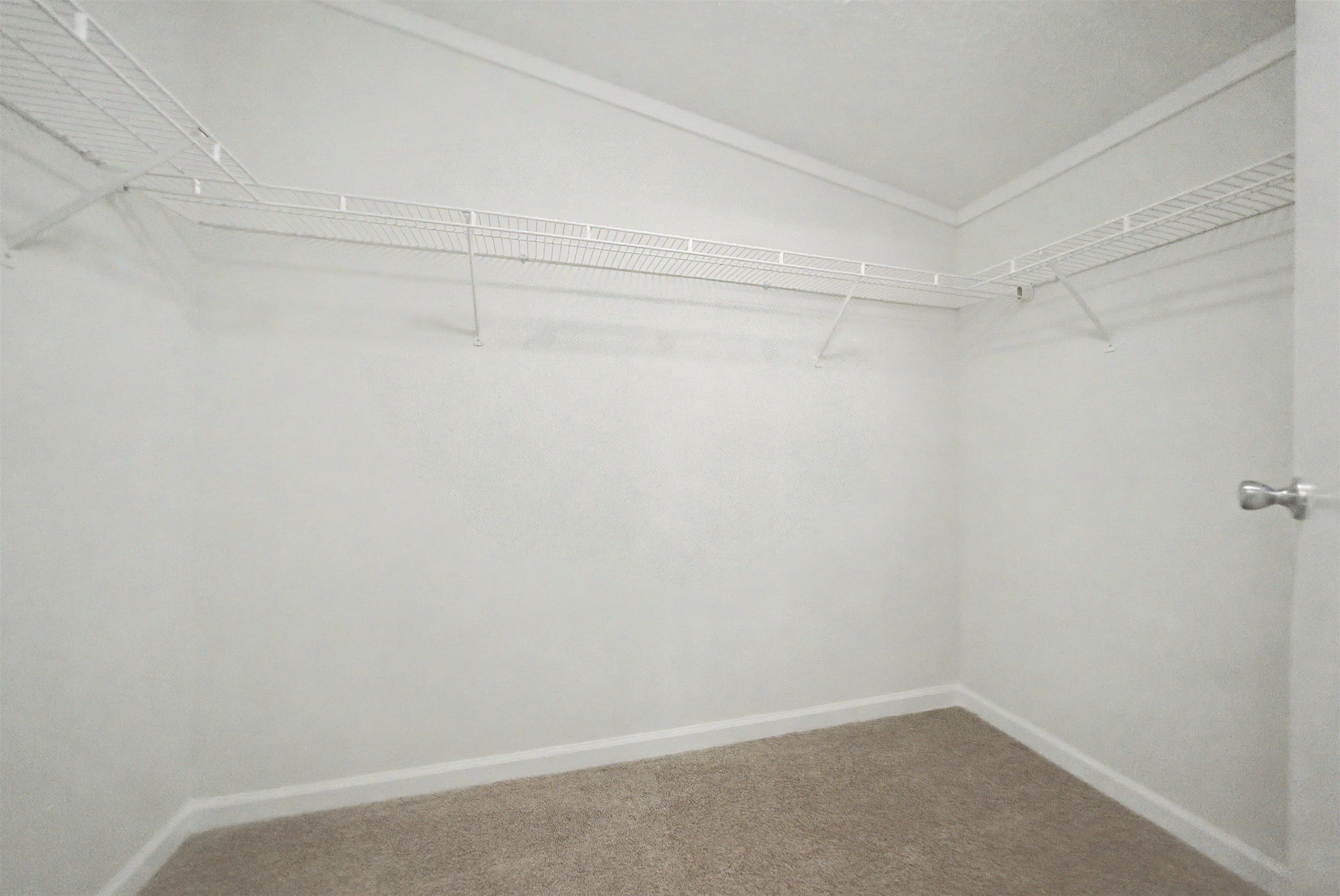 890 Burks Rd Property Photo 17