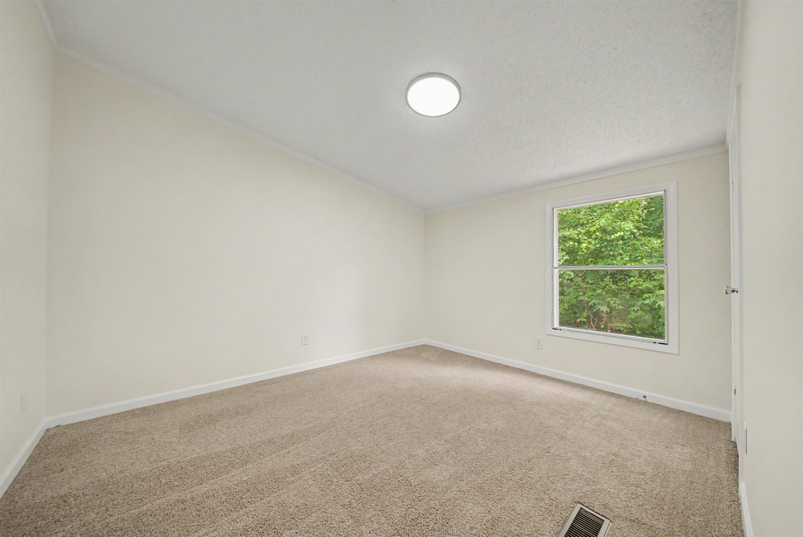 890 Burks Rd Property Photo 18