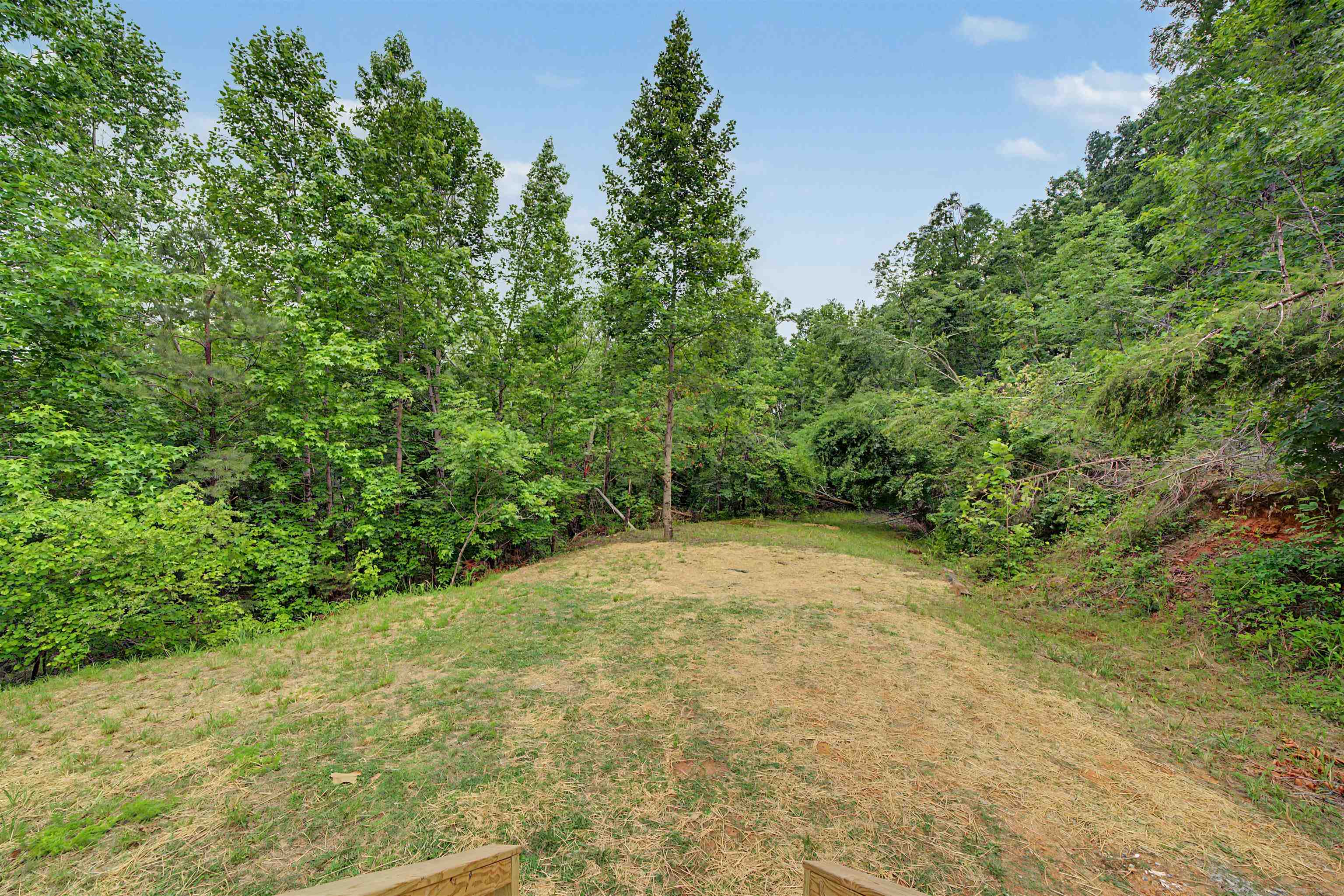 890 Burks Rd Property Photo 29