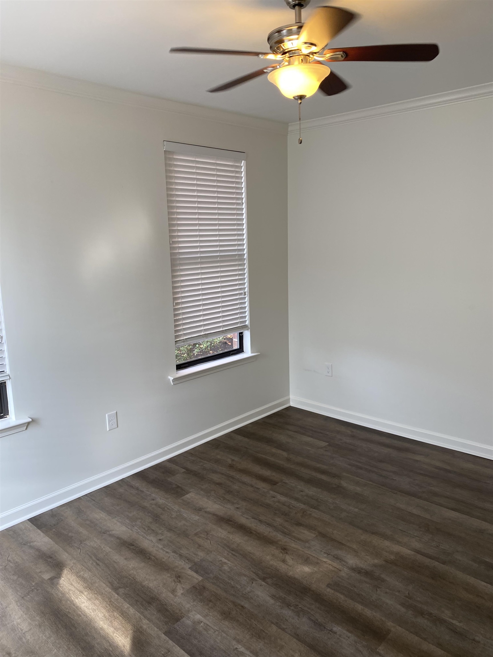730 Litty Ct 101 Property Photo 14