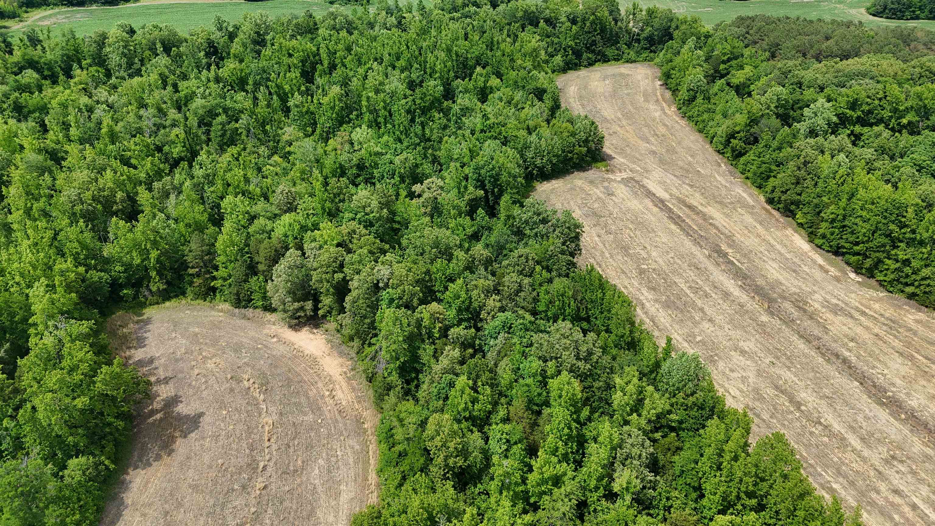 1200 Sand Ridge Bargerton Rd Property Photo 4