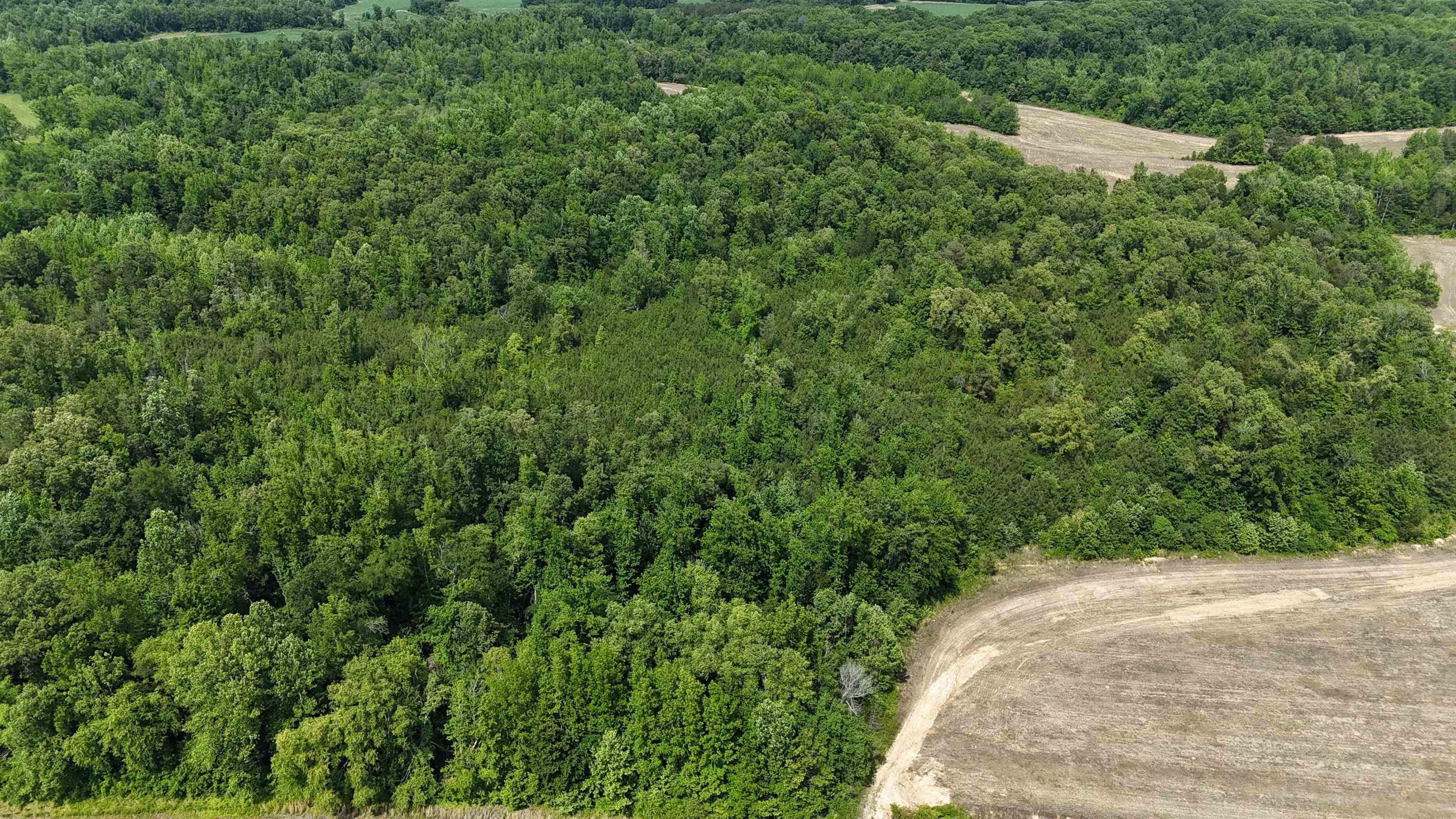 1200 Sand Ridge Bargerton Rd Property Photo 5