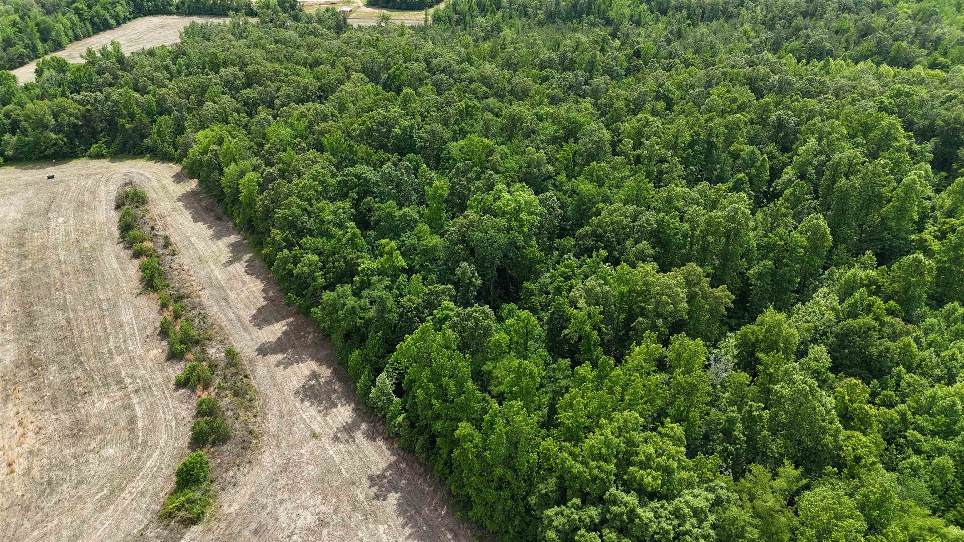 1200 Sand Ridge Bargerton Rd Property Photo 6