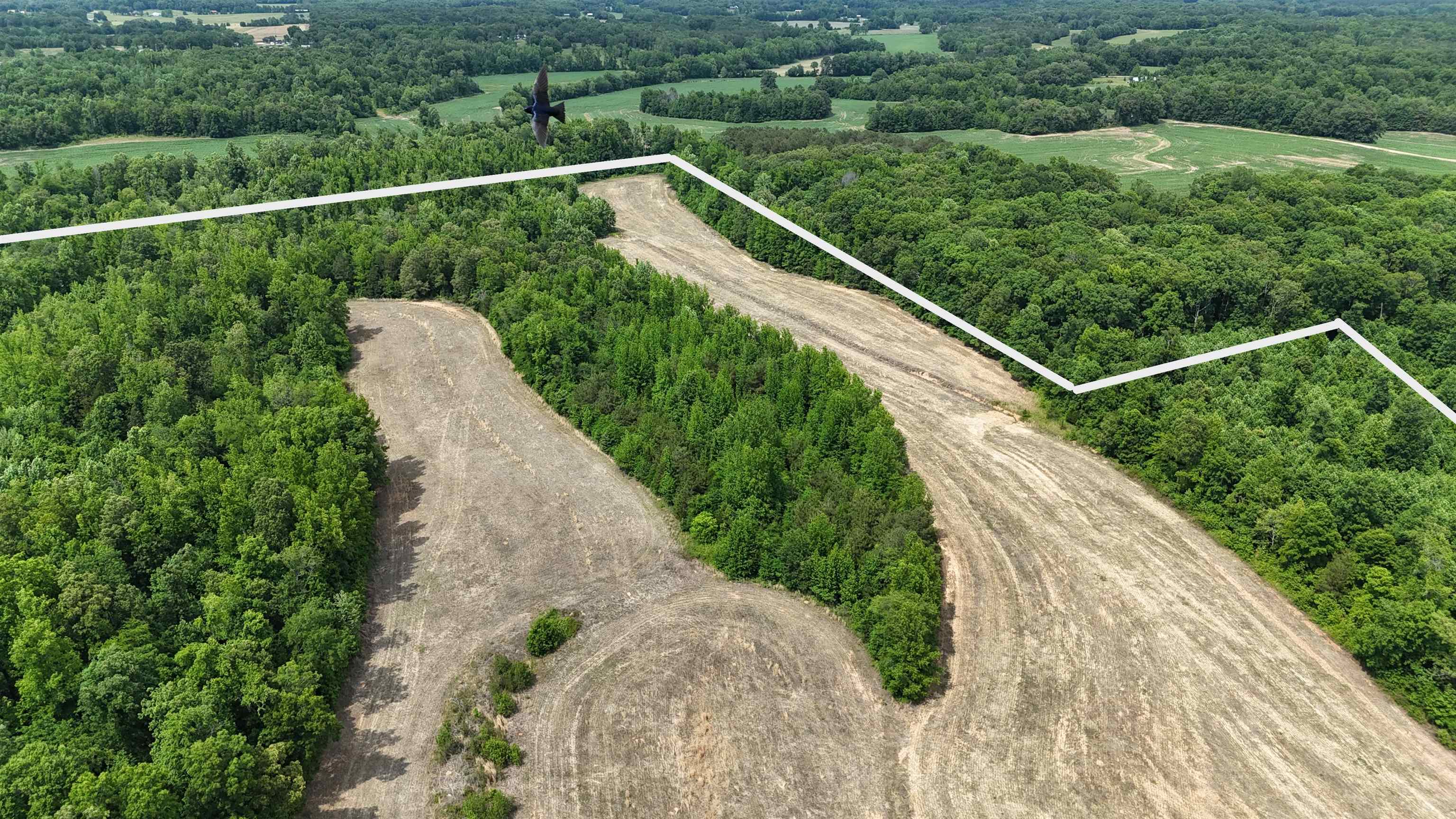 1200 Sand Ridge Bargerton Rd Property Photo 9