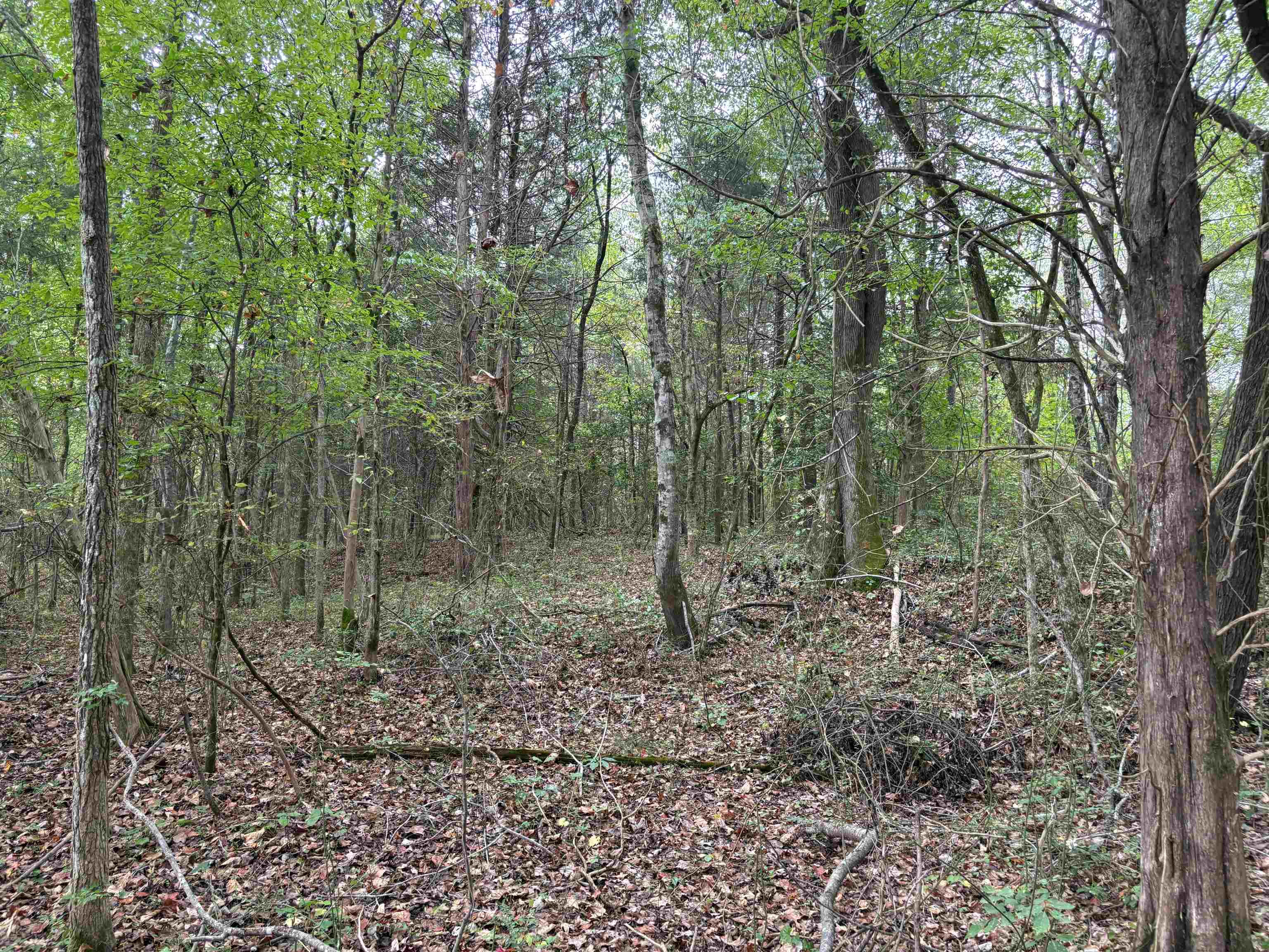 1200 Sand Ridge Bargerton Rd Property Photo 11
