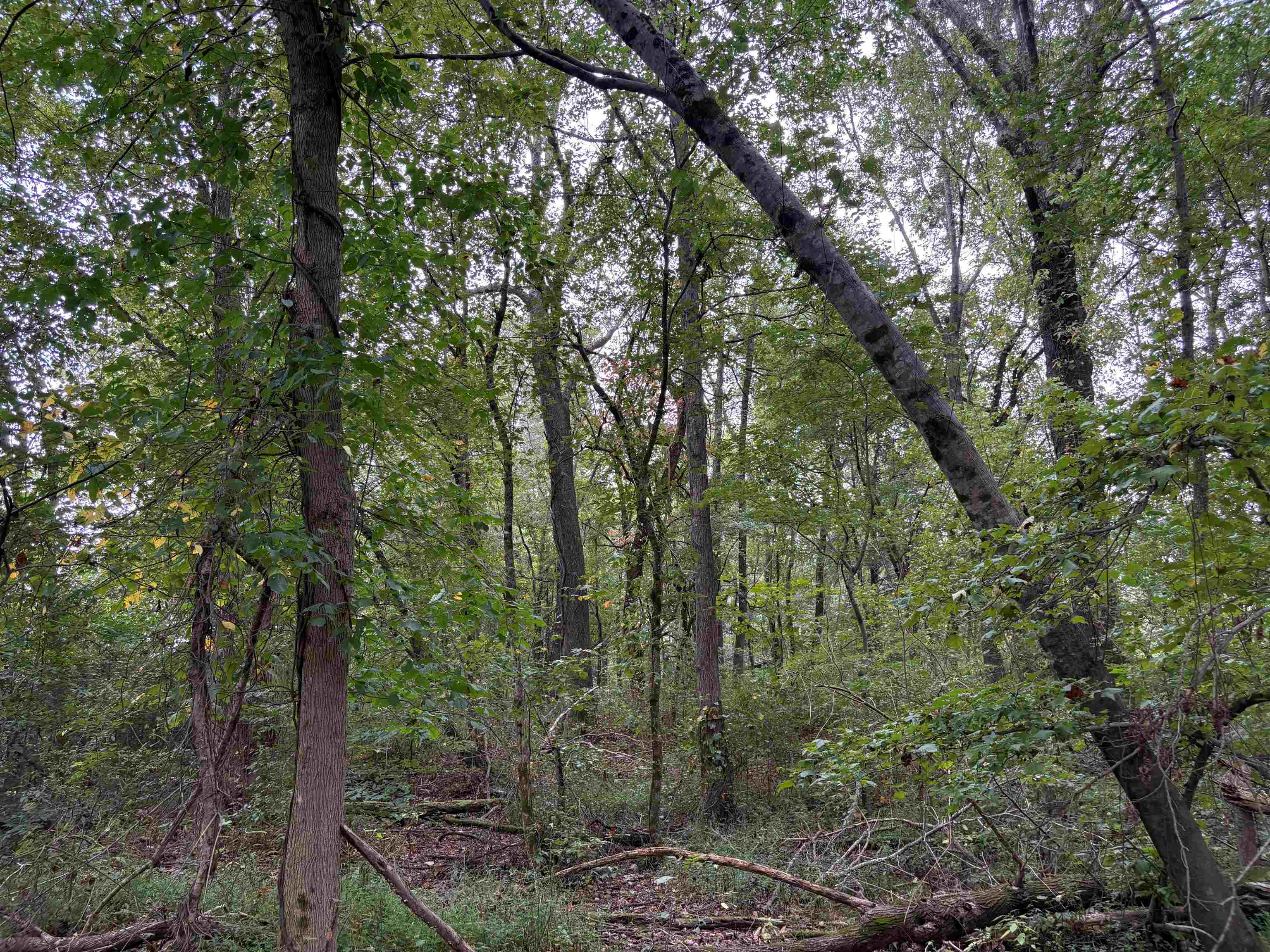 1200 Sand Ridge Bargerton Rd Property Photo 14