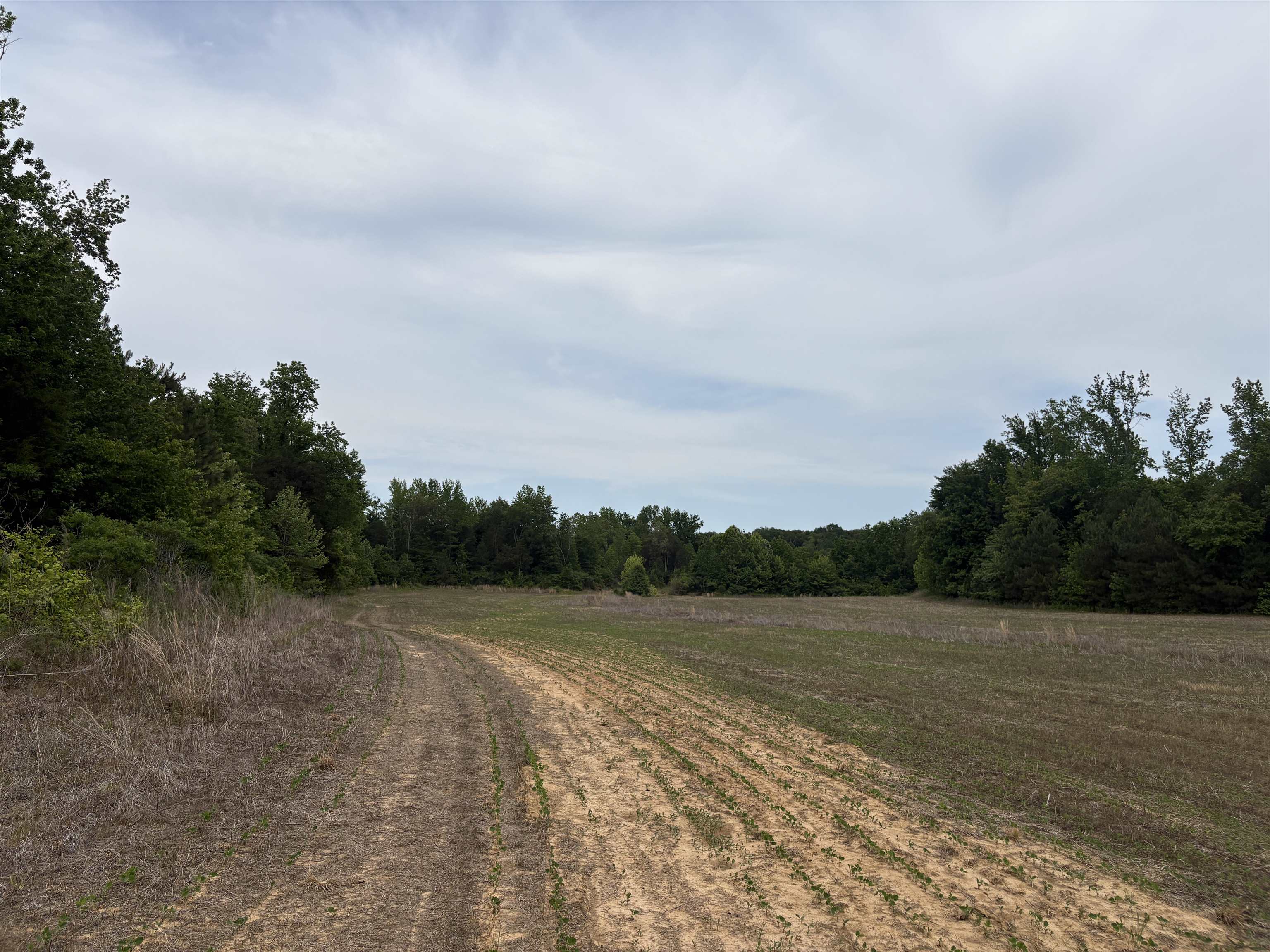 1200 Sand Ridge Bargerton Rd Property Photo 15