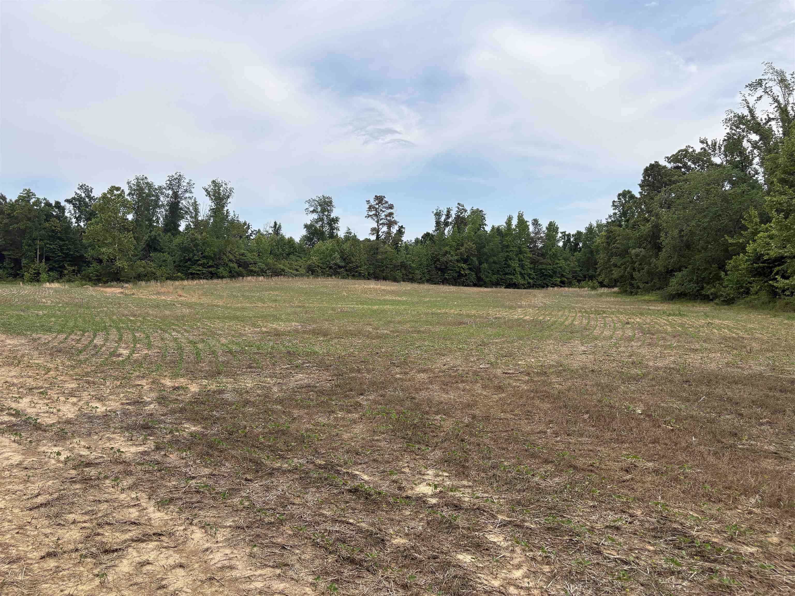1200 Sand Ridge Bargerton Rd Property Photo 16