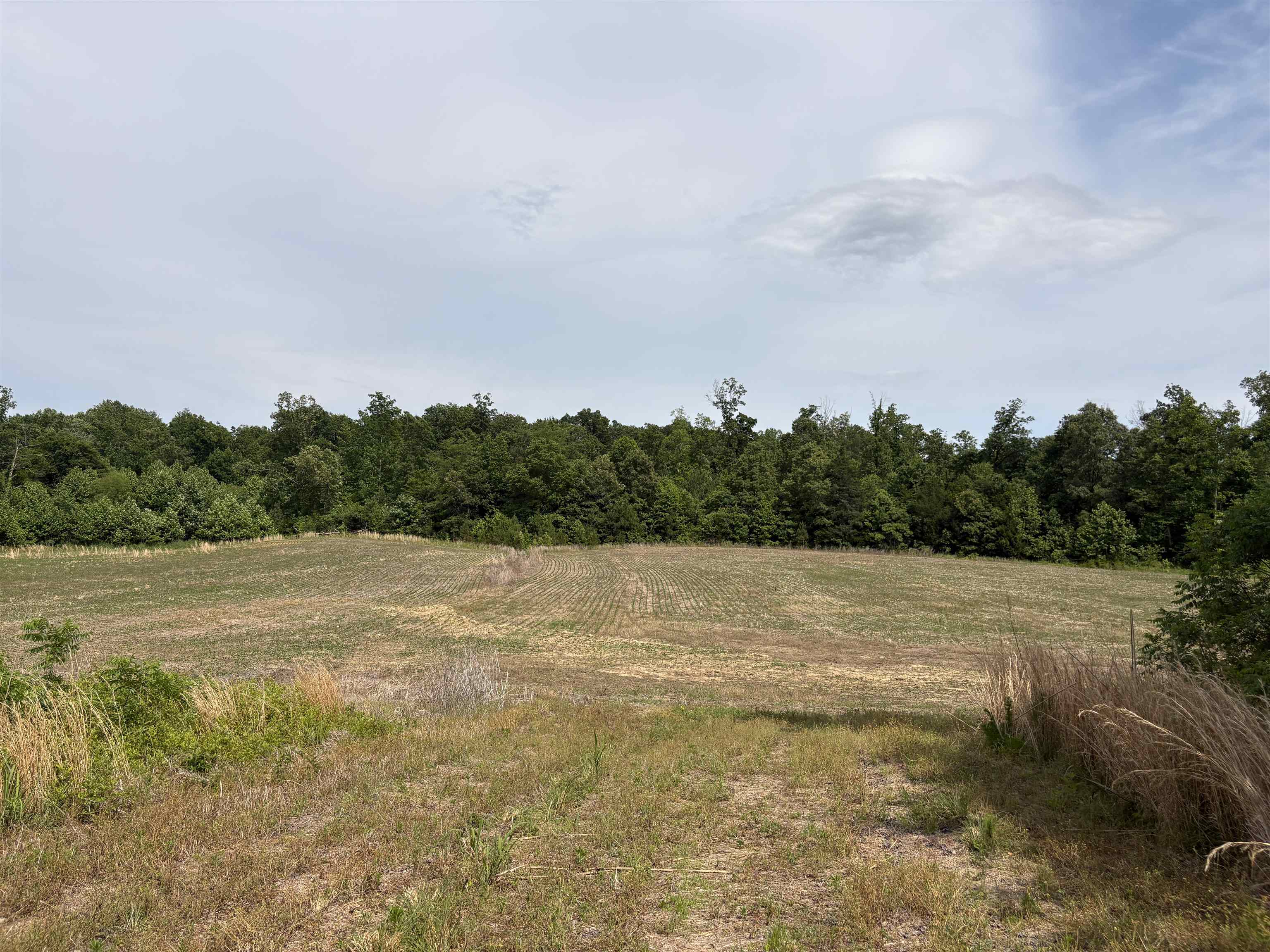 1200 Sand Ridge Bargerton Rd Property Photo 17