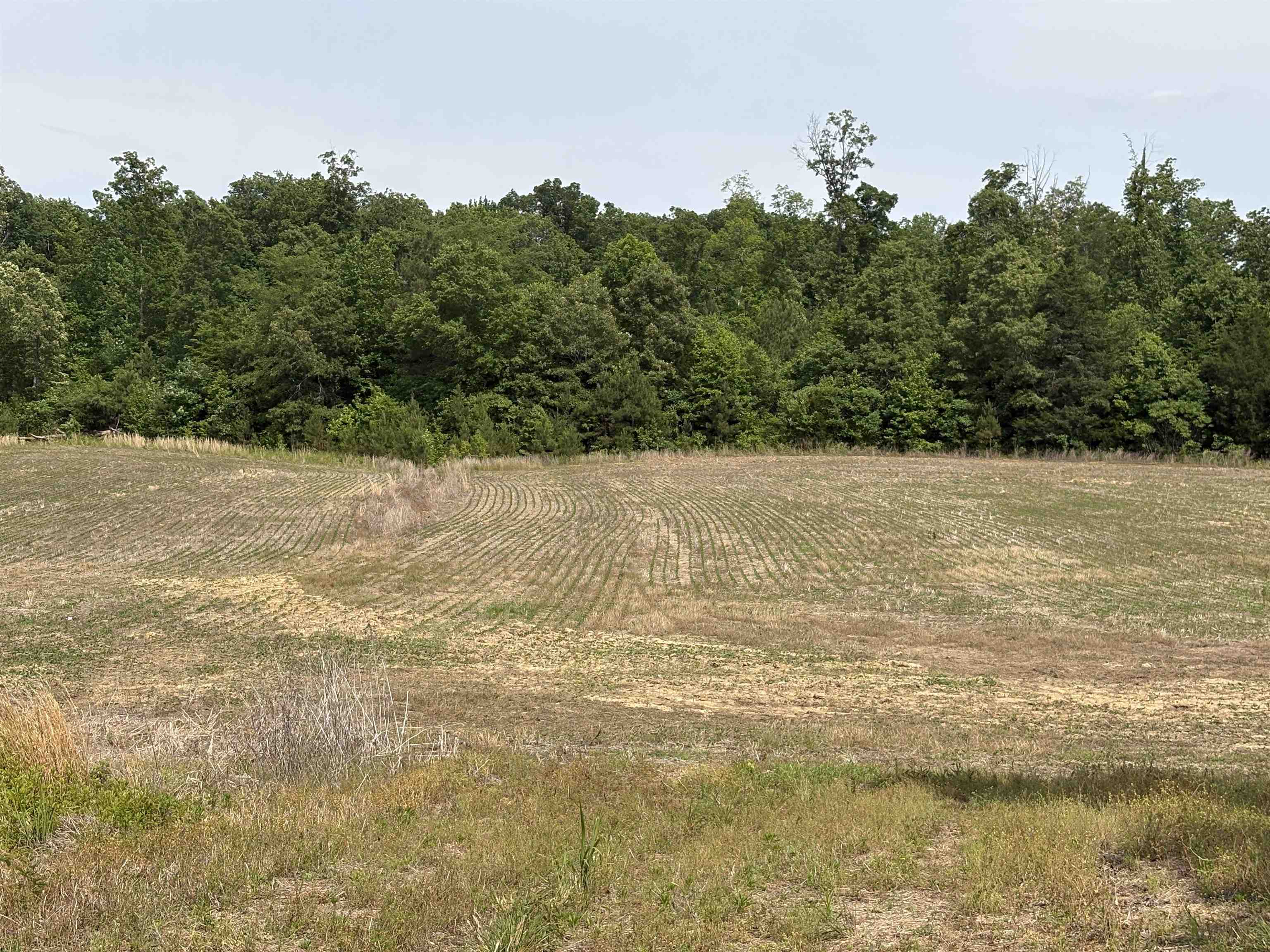 1200 Sand Ridge Bargerton Rd Property Photo 18