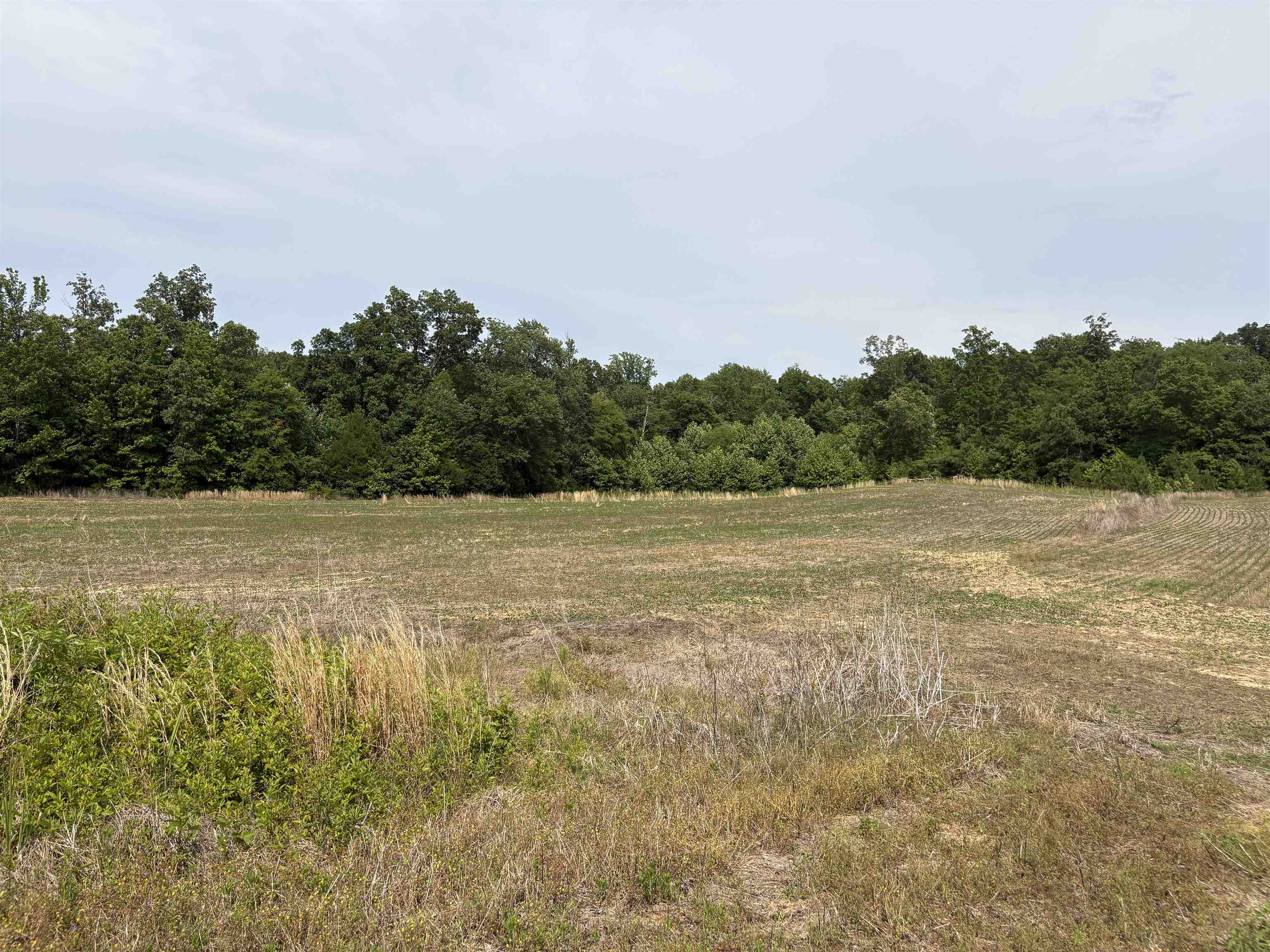 1200 Sand Ridge Bargerton Rd Property Photo 19