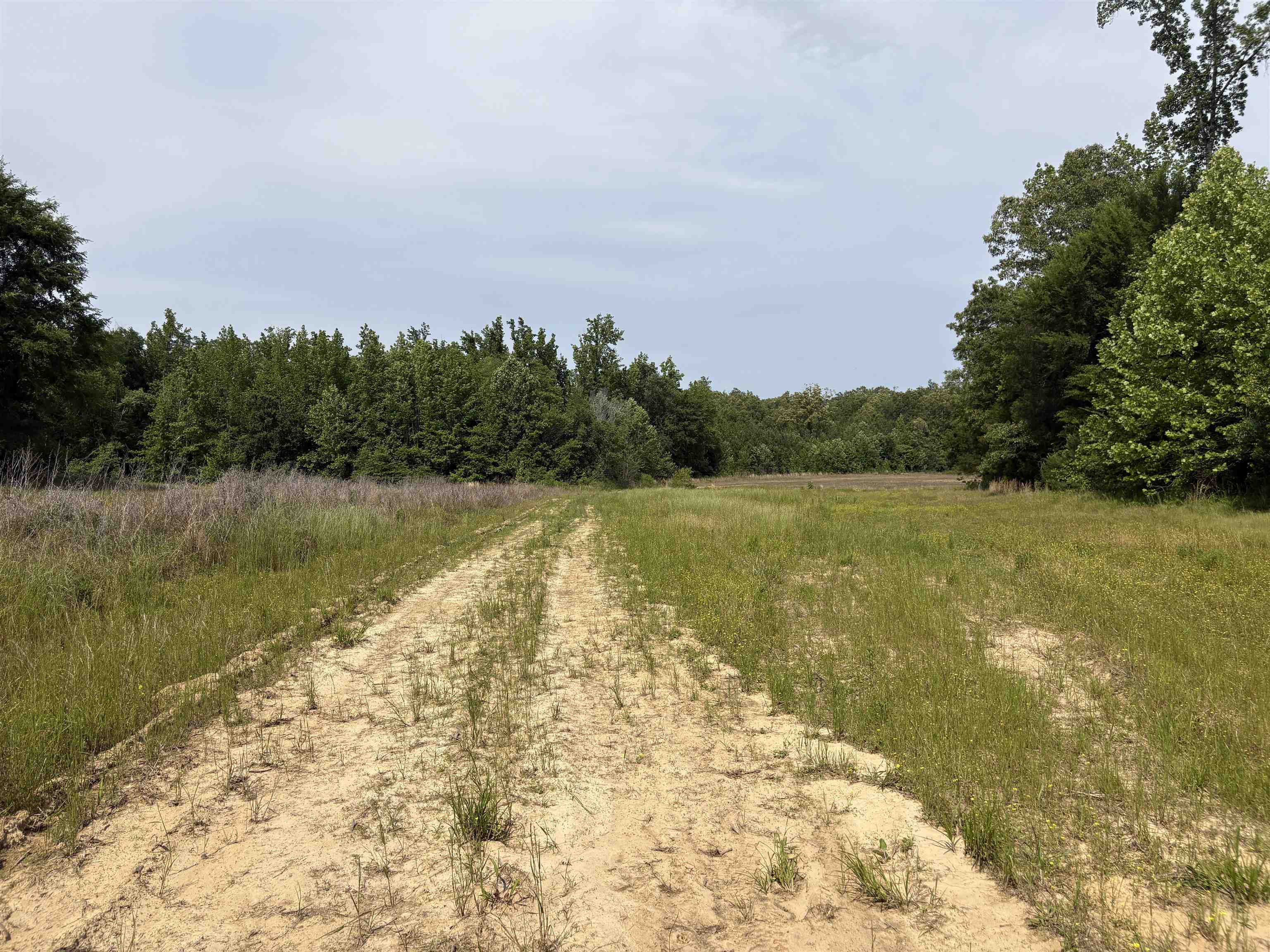 1200 Sand Ridge Bargerton Rd Property Photo 20