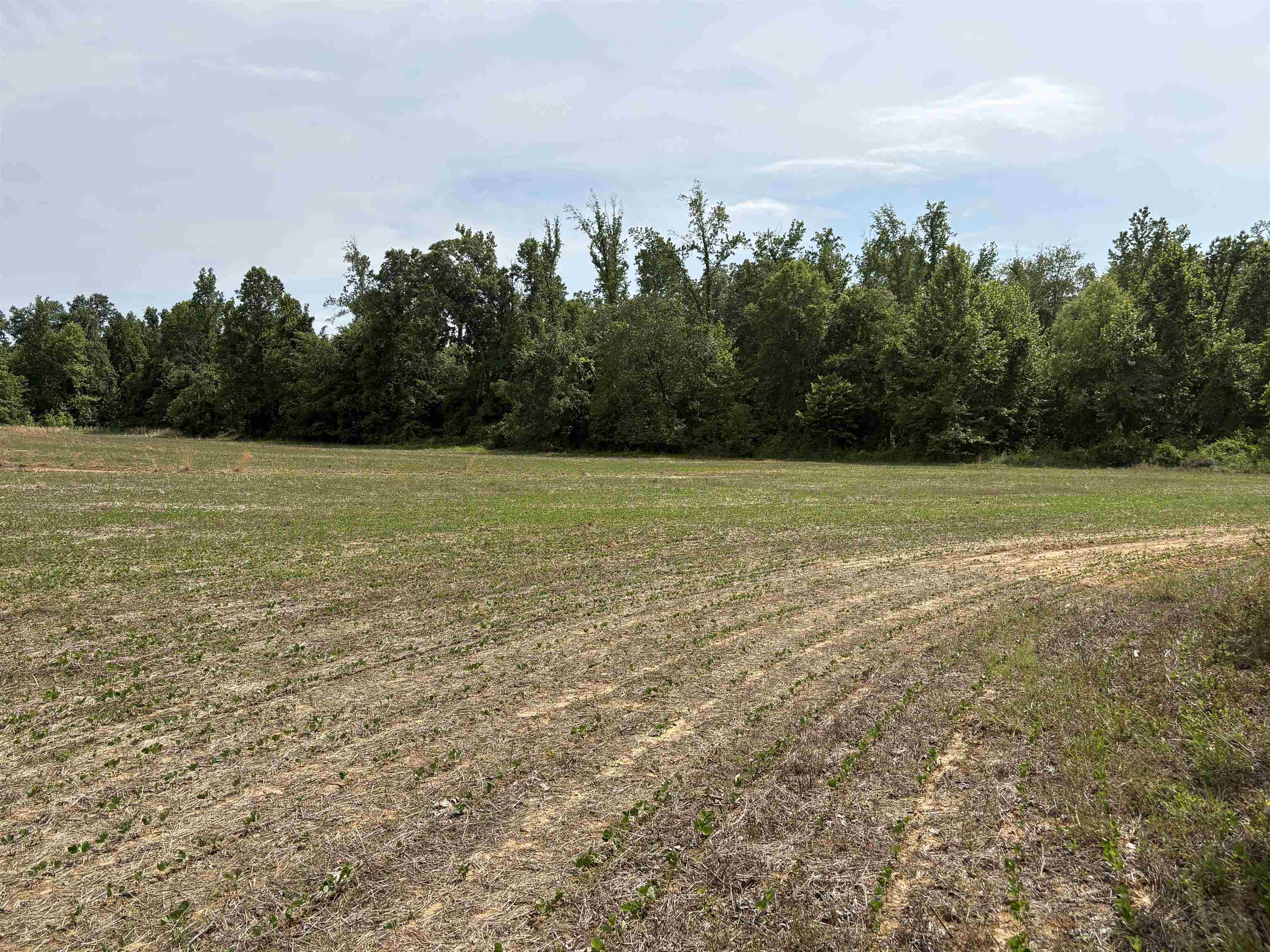 1200 Sand Ridge Bargerton Rd Property Photo 21