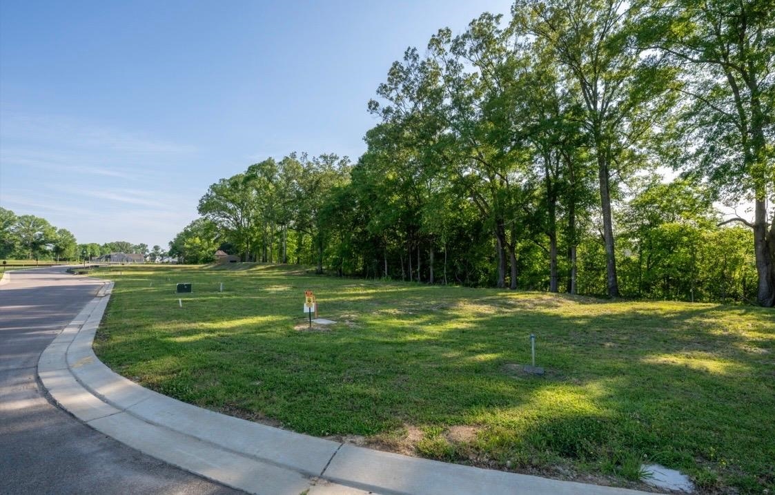 40 Cypress Bend Dr Property Photo 10