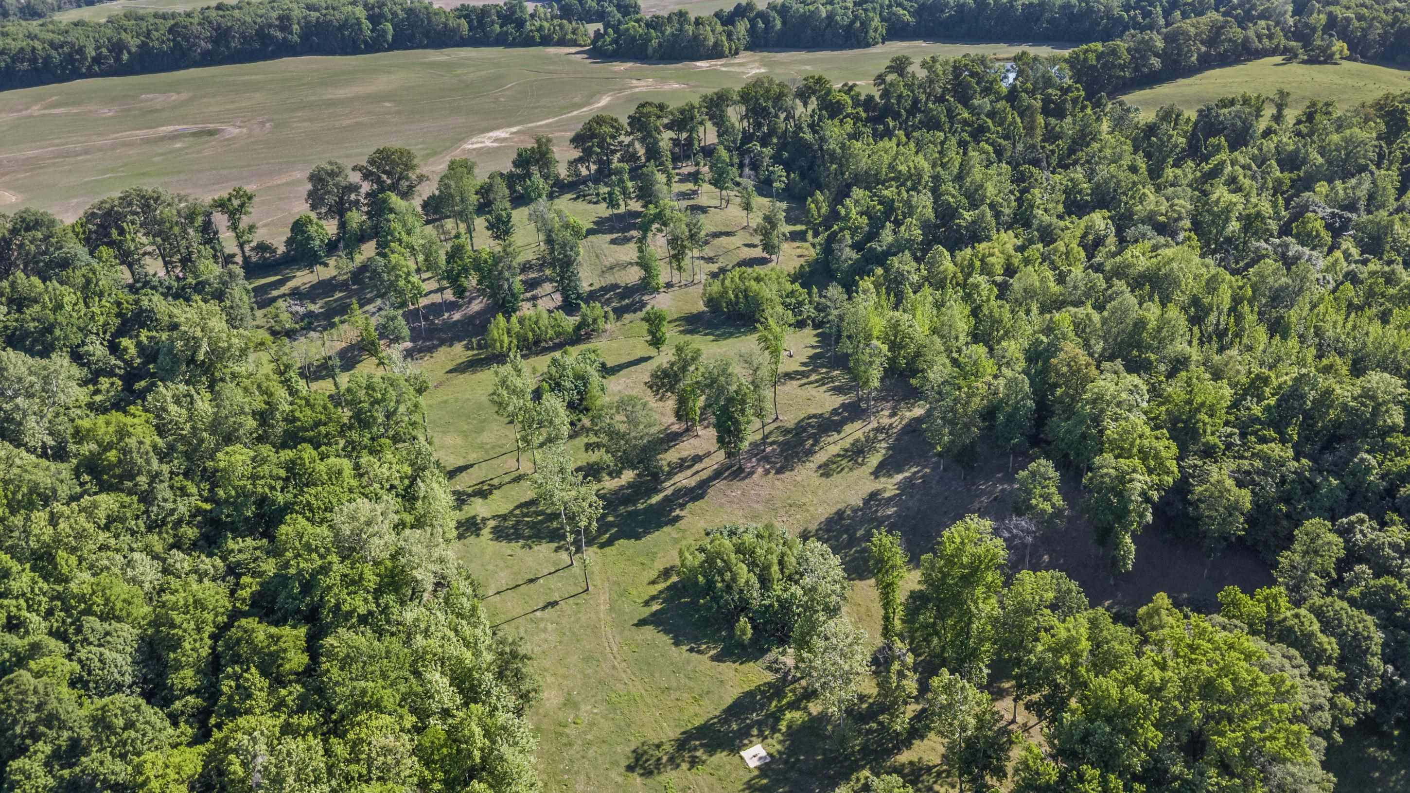 341 Long Hole Rd Property Photo 3