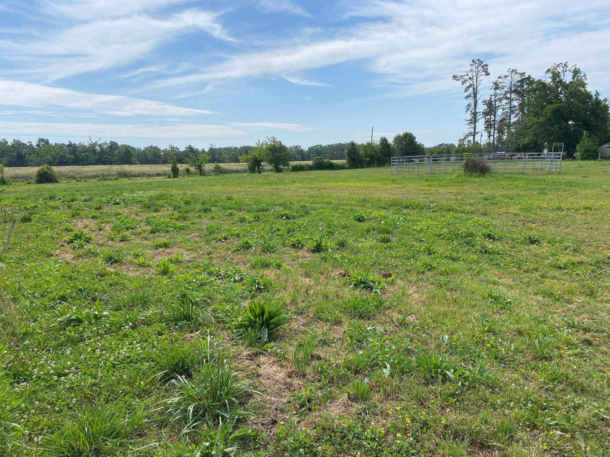Joe Dillon Rd Property Photo 1