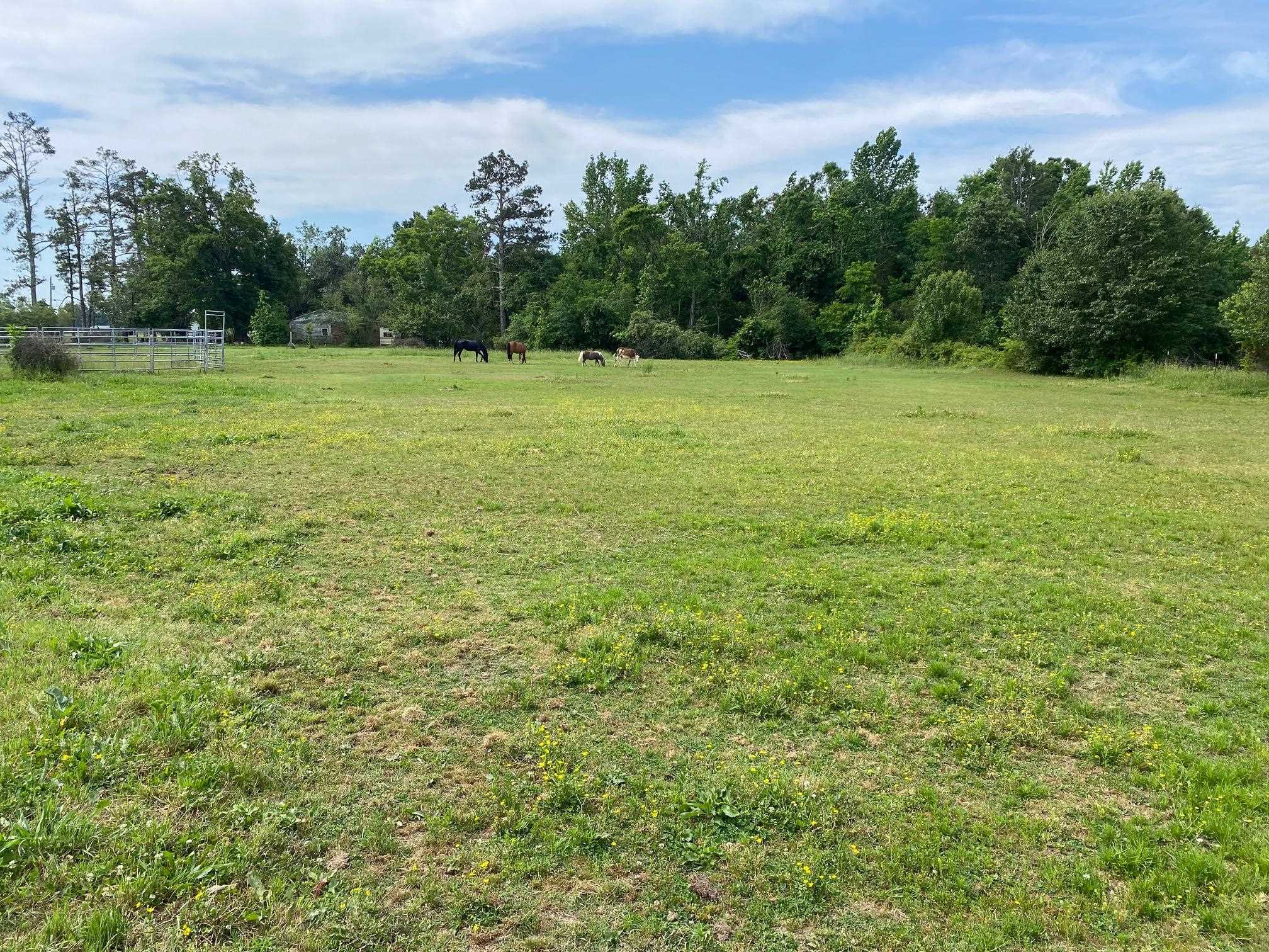 Joe Dillon Rd Property Photo 2