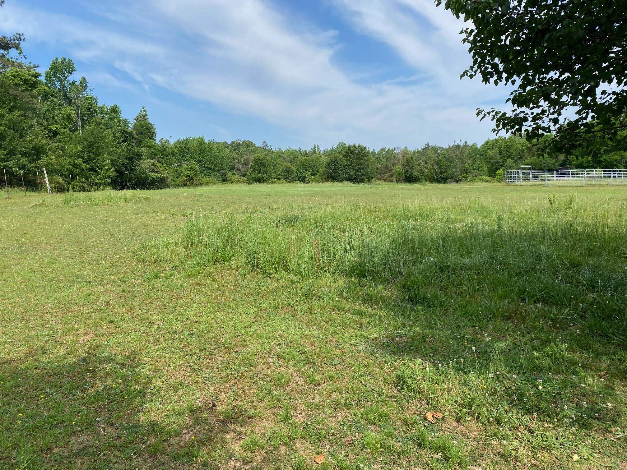 Joe Dillon Rd Property Photo 3