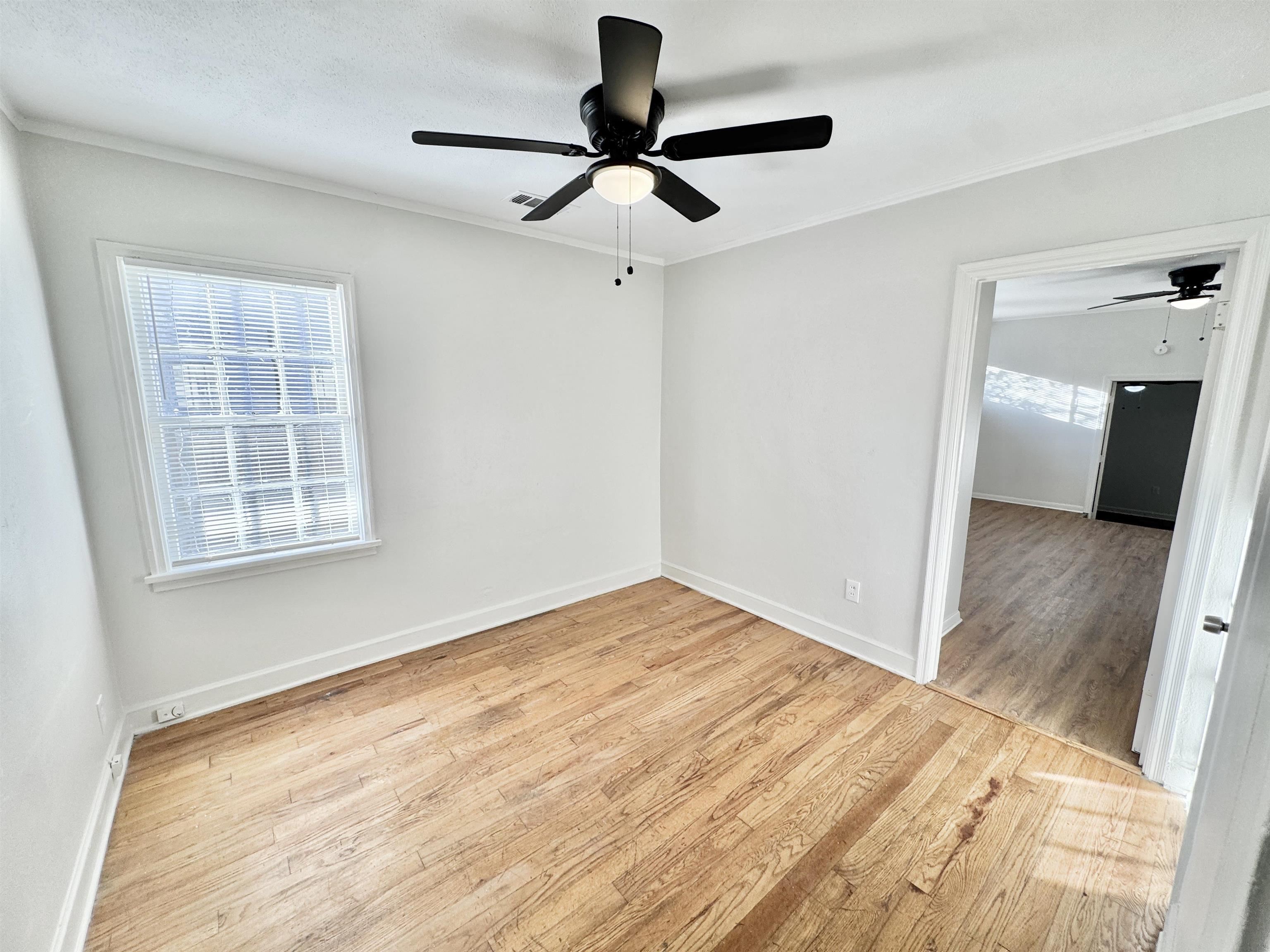 3880 Spottswood Ave Property Photo 10