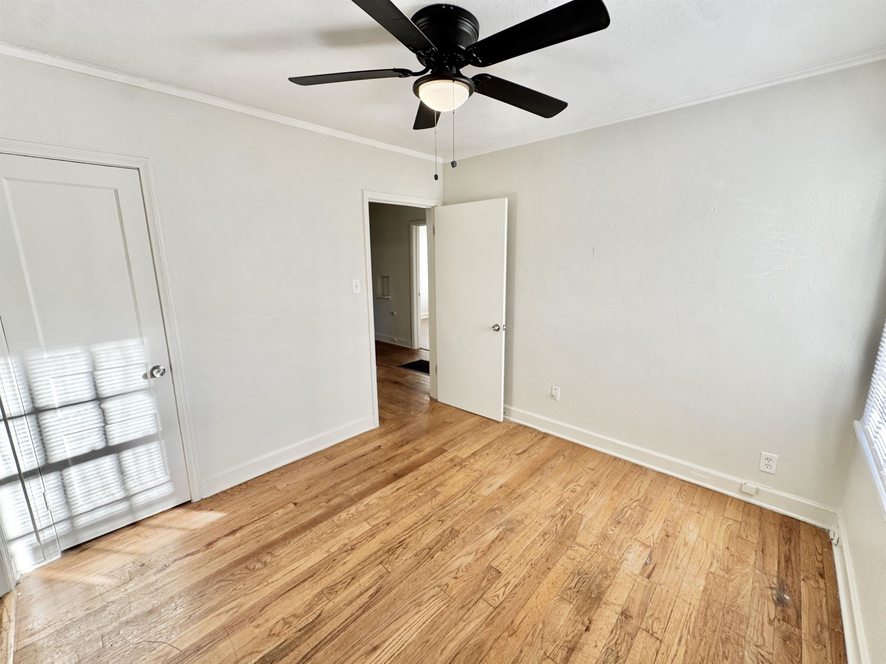 3880 Spottswood Ave Property Photo 11