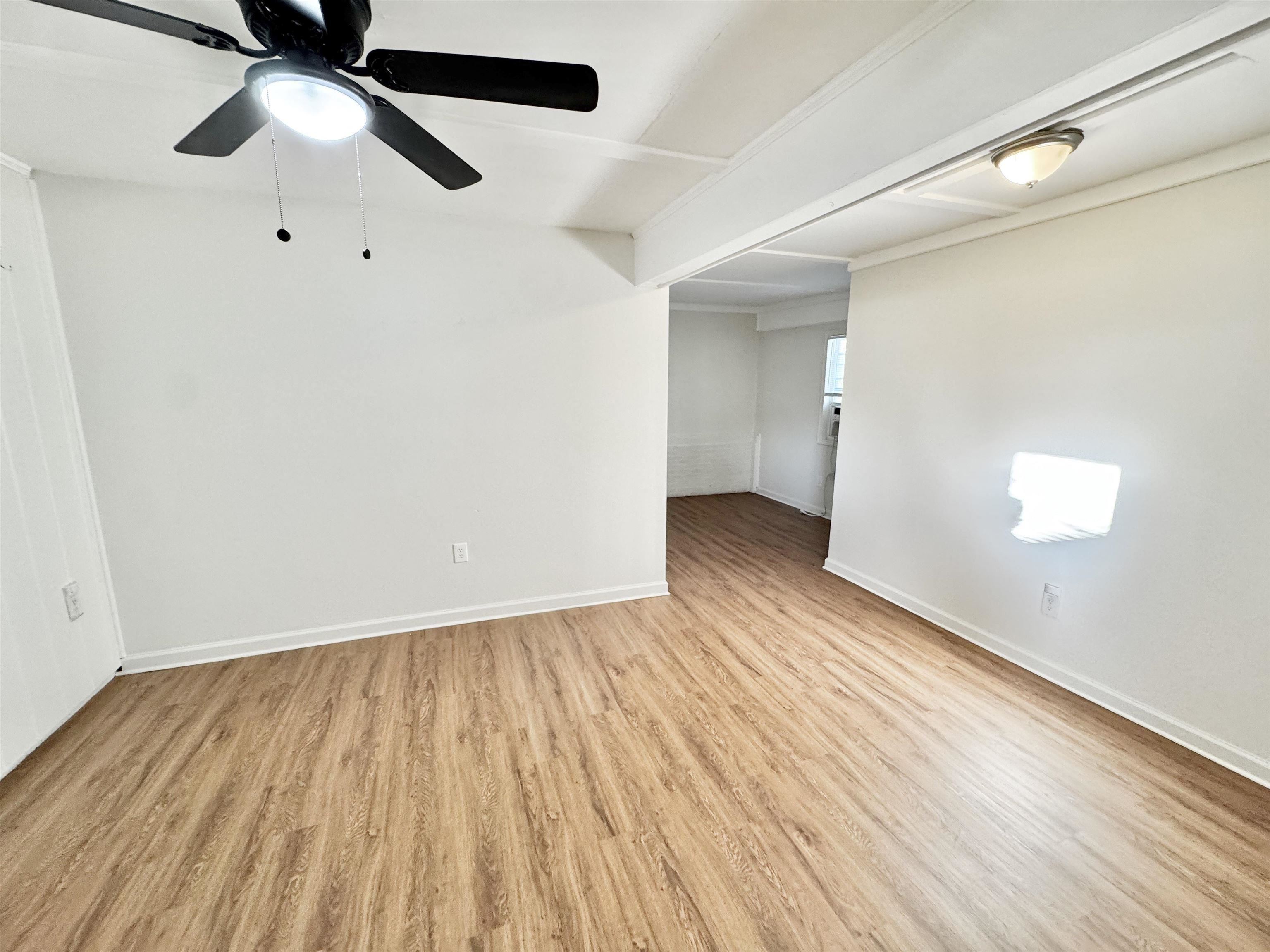 3880 Spottswood Ave Property Photo 19