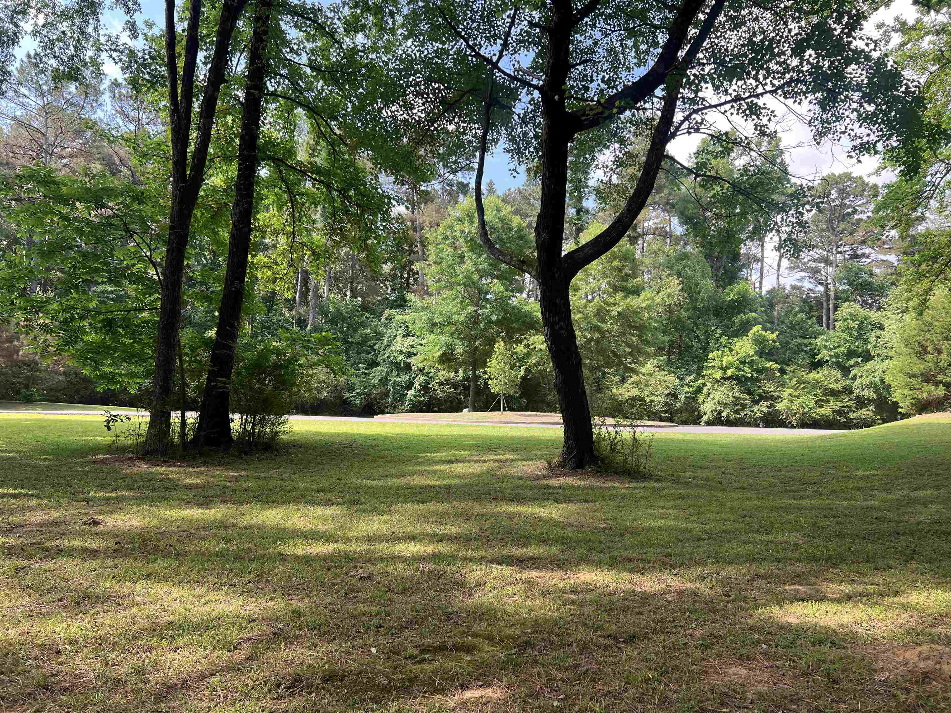 11614 Wynestone Oaks Cv Property Photo 3