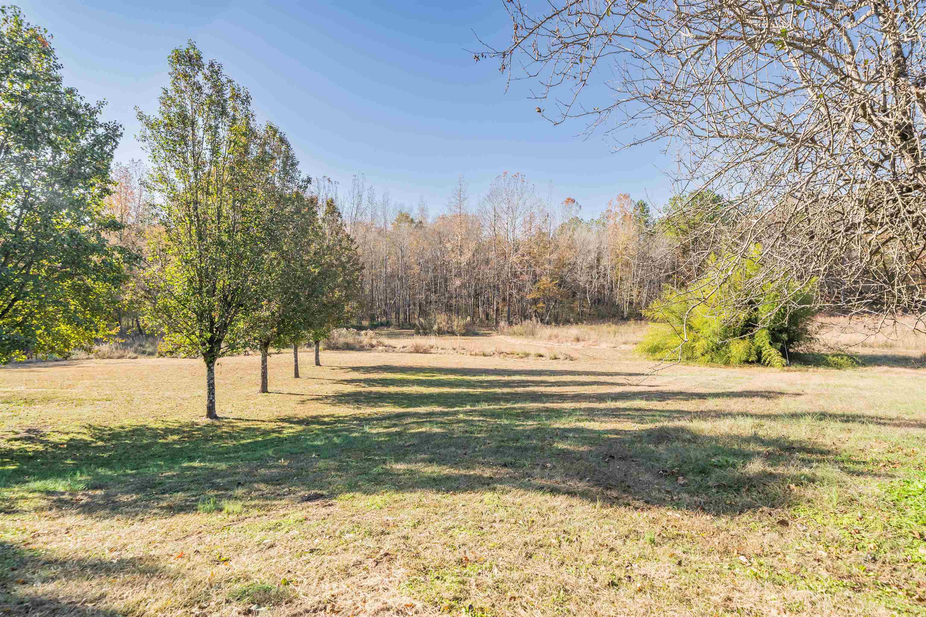 1070 Pine Top Rd Property Photo 28