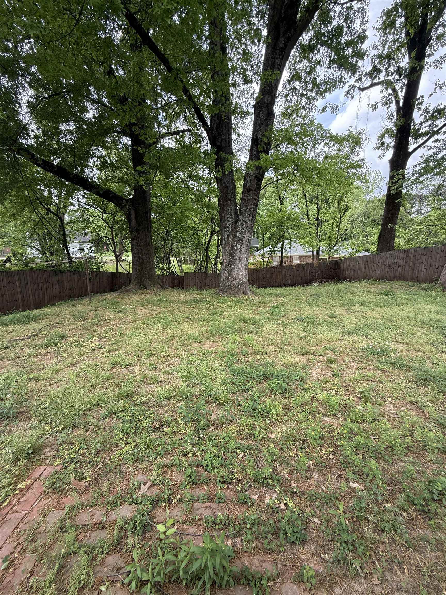 2077 Willow Wood Ave Property Photo 10