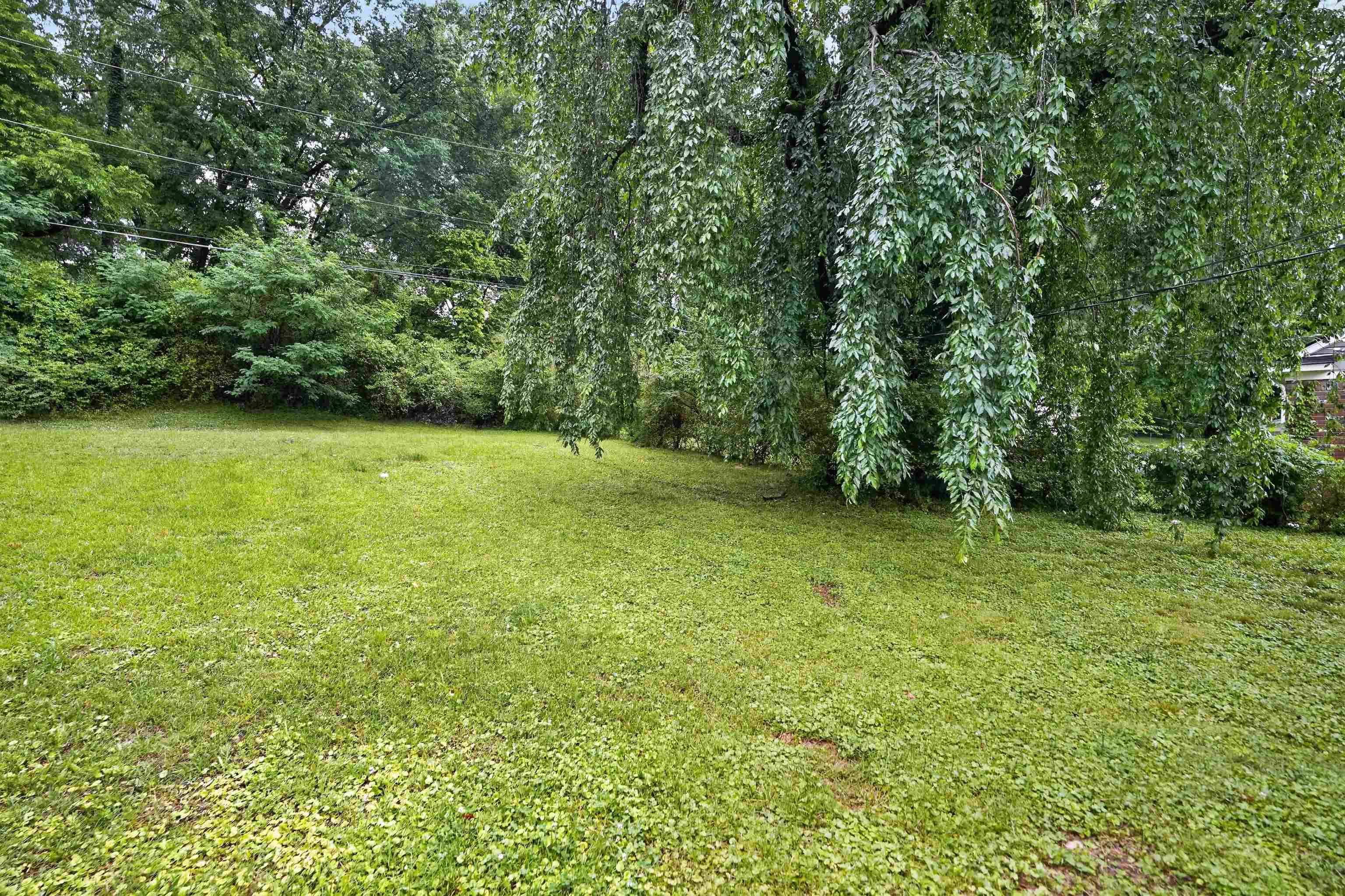 2970 Manndale Dr Property Photo 6