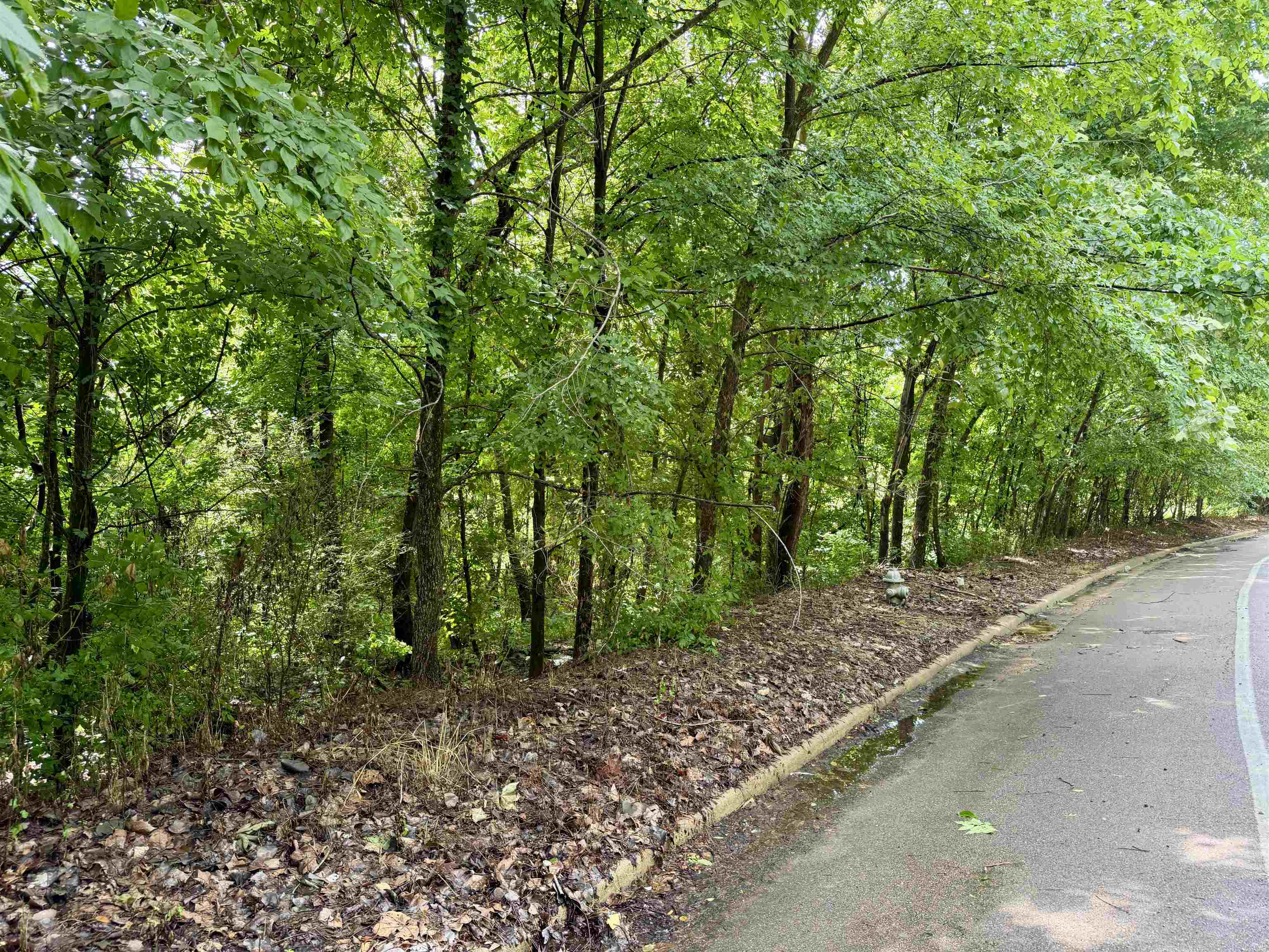 0 Northhaven Dr Property Photo 2