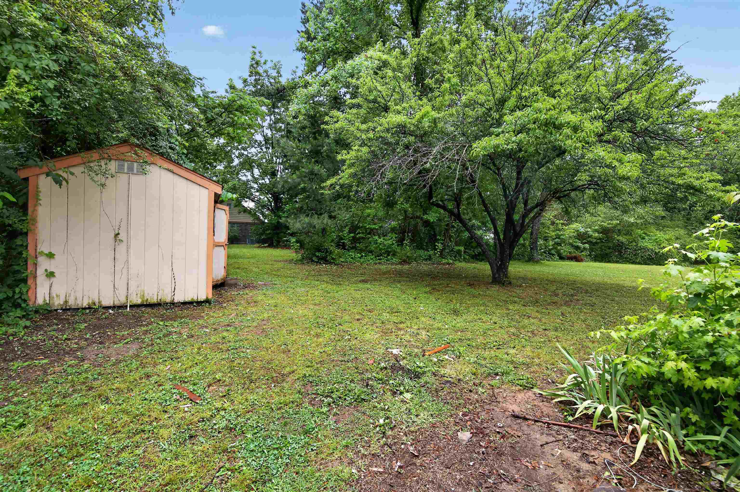 3451 Birdsong Ferry Rd Property Photo 4