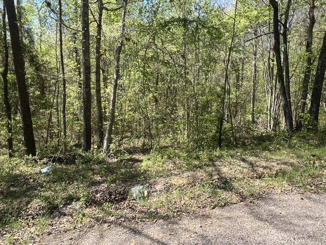 Hines Gin Rd Property Photo 1
