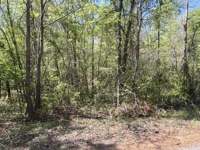Hines Gin Rd Property Photo 3