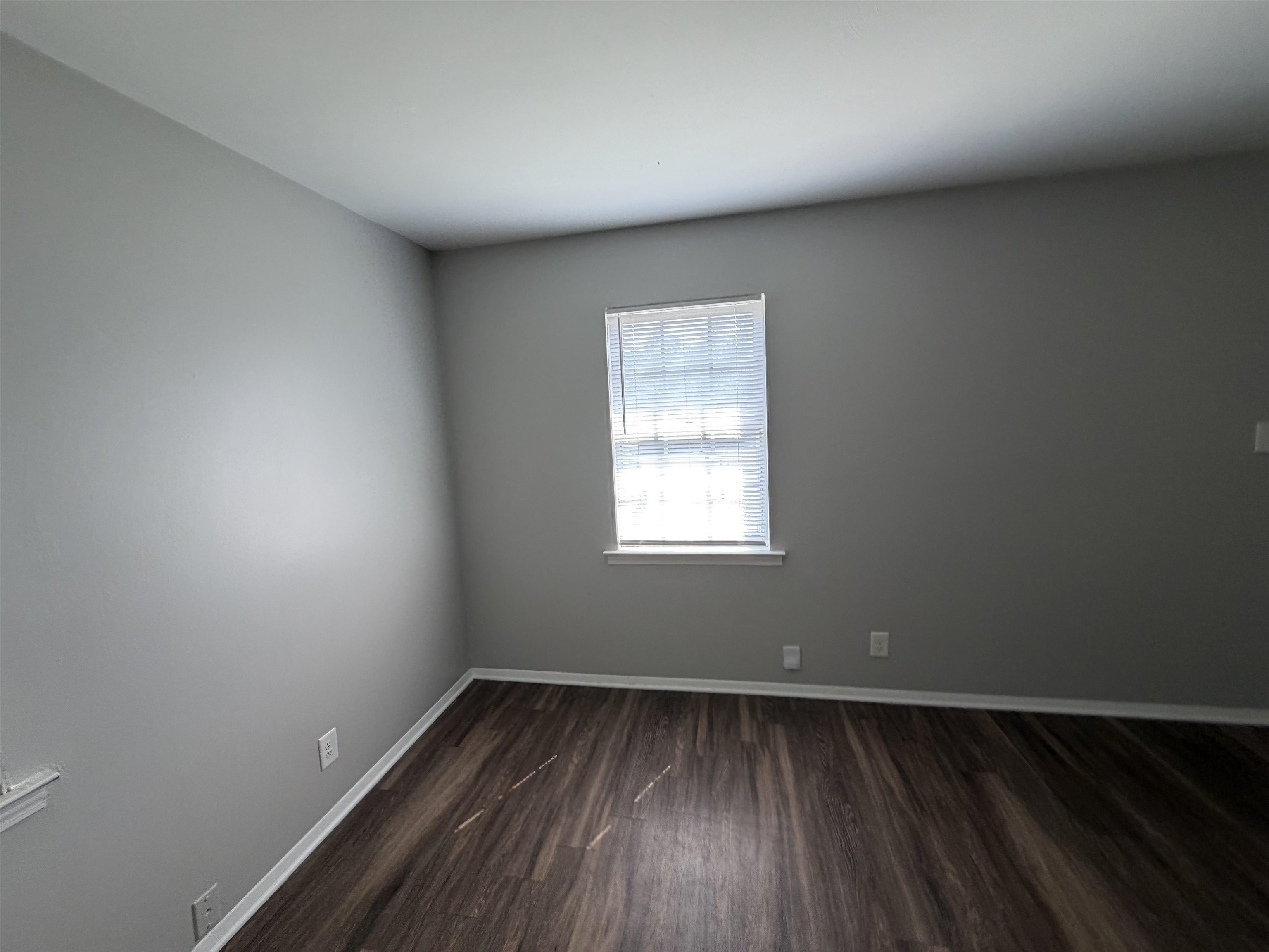 3965 Hedgerow Dr Property Photo 12