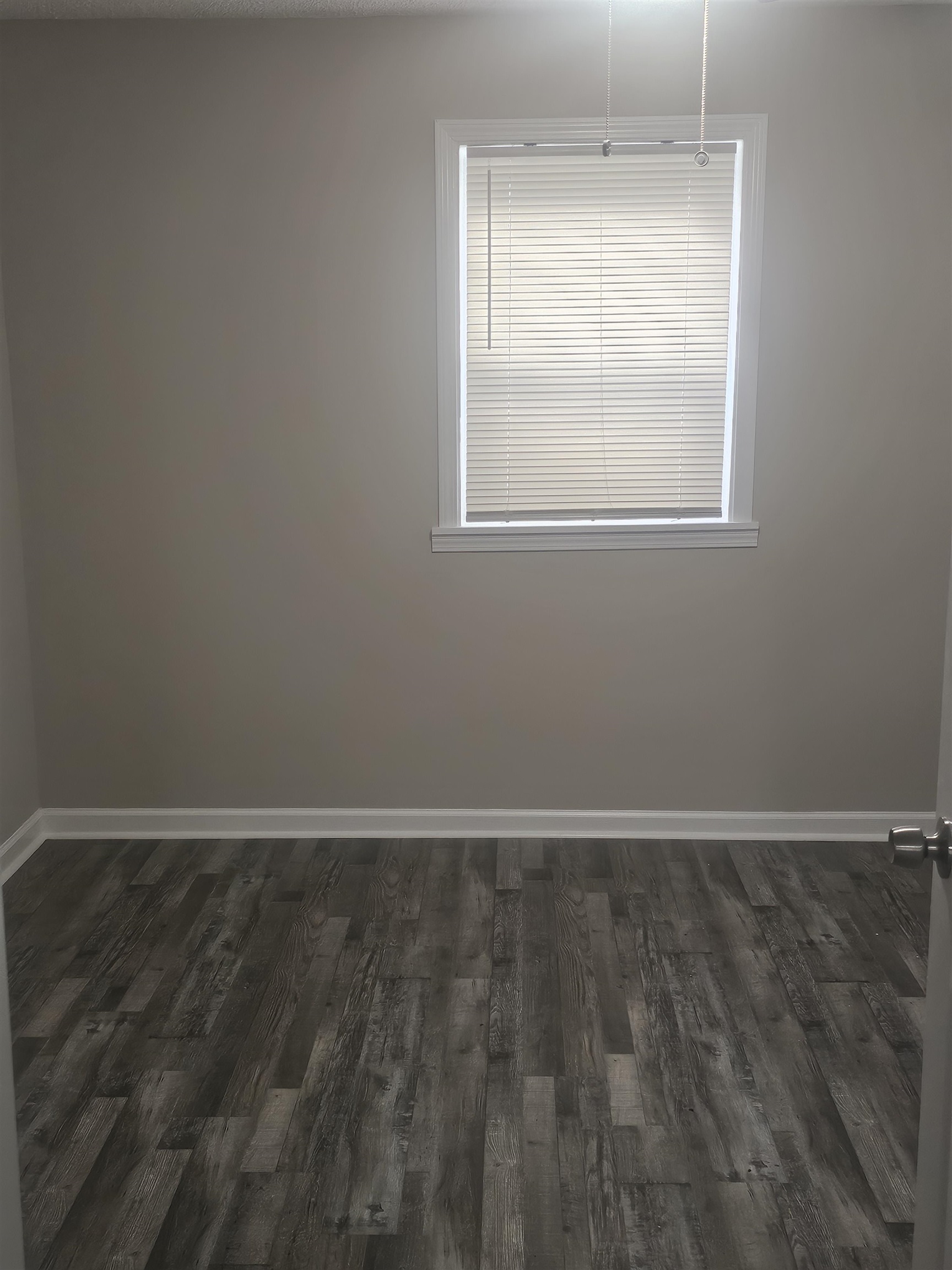 667 Marsh Ave Property Photo 4