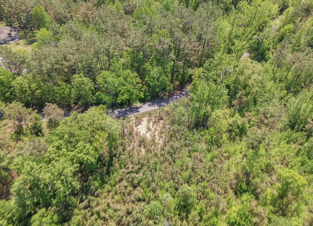0 Ed Barham Tract 1 Rd Property Photo 6