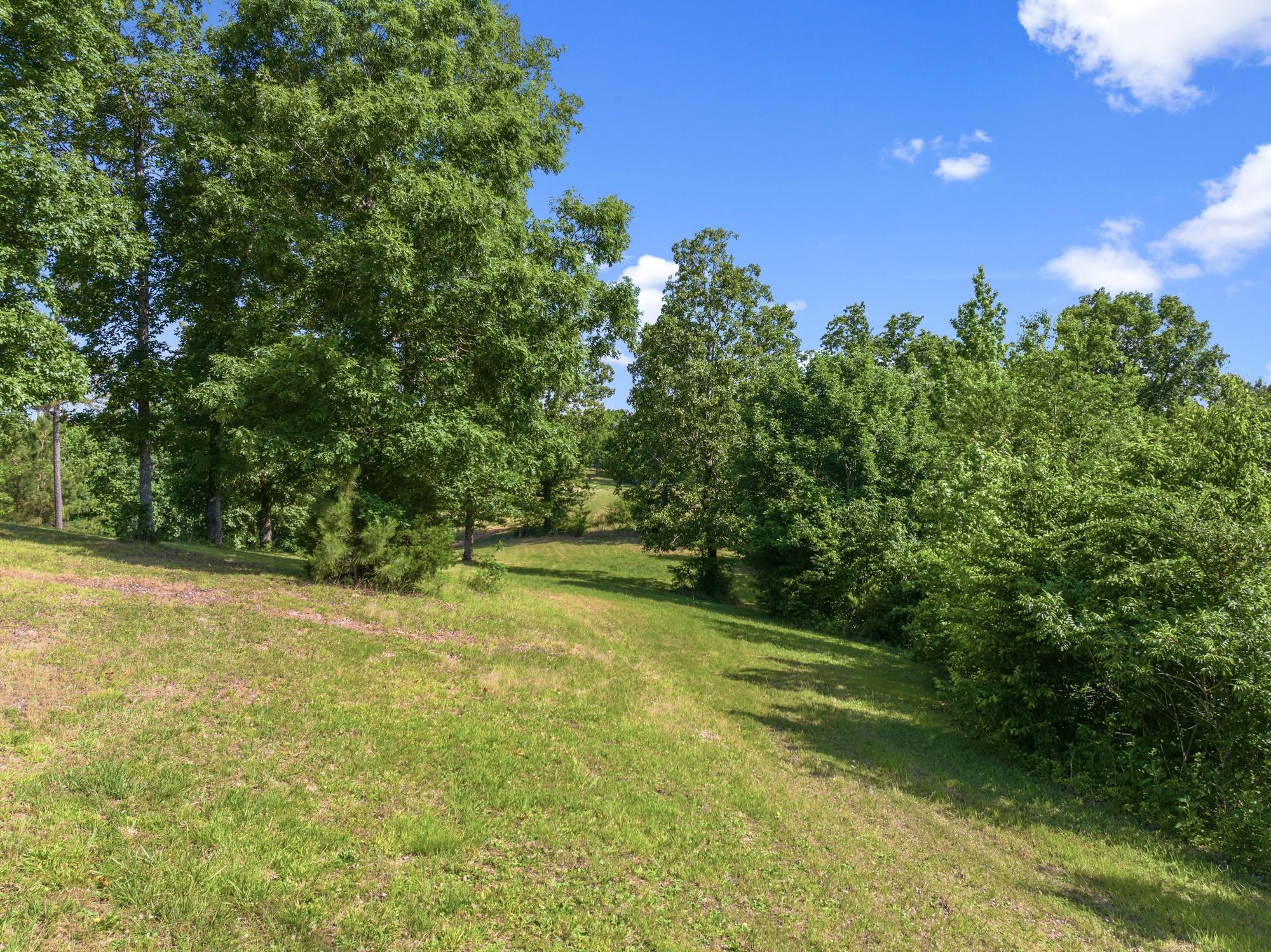 117 Riverbreeze Dr Property Photo 8