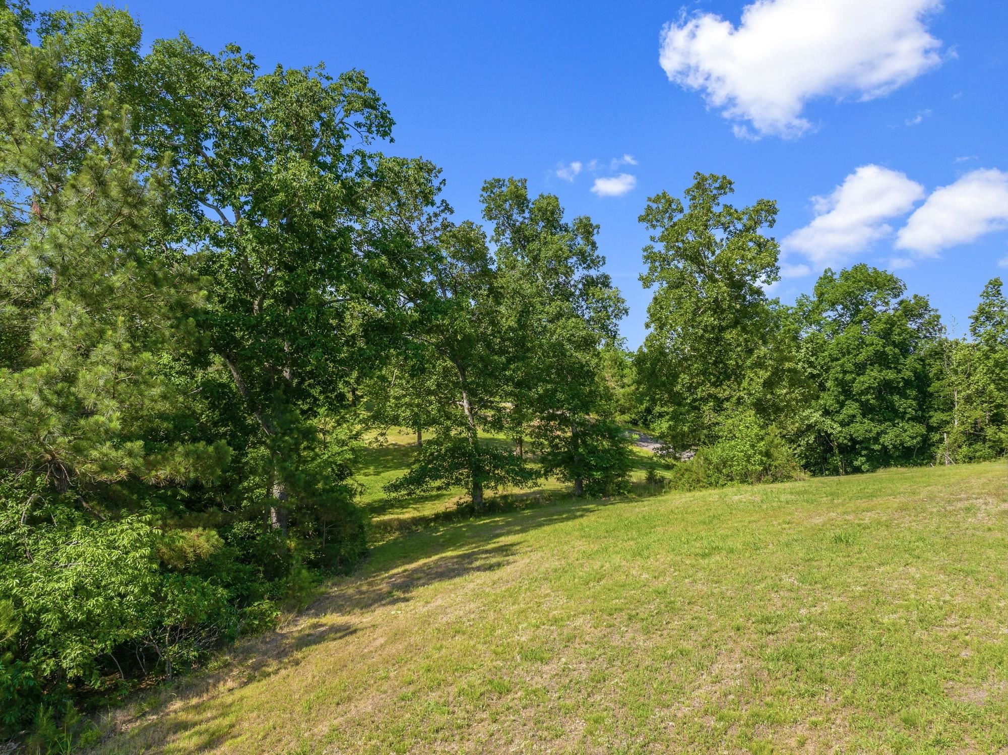 117 Riverbreeze Dr Property Photo 12